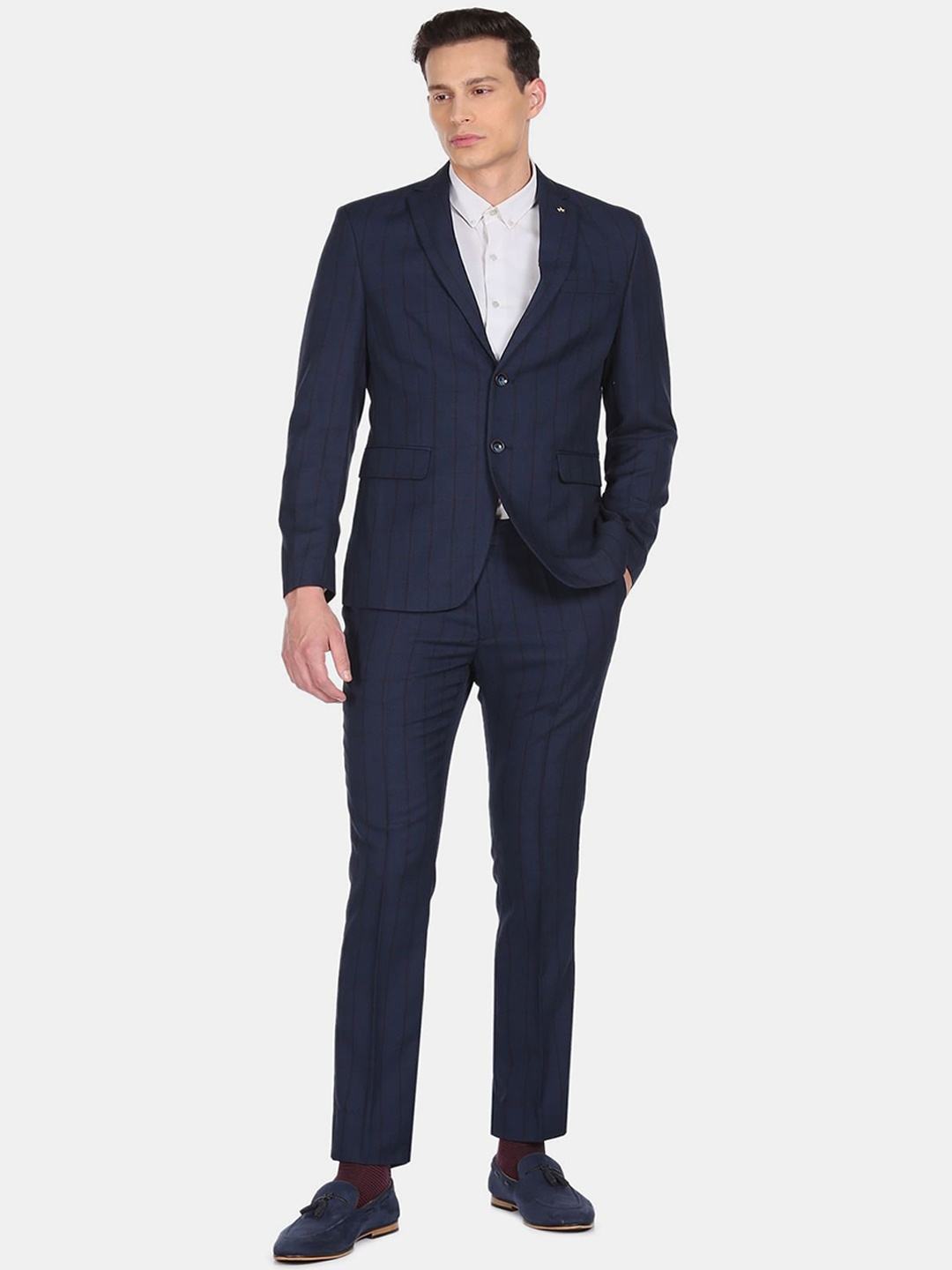 

Arrow Men Navy Blue Checked Single-Breasted Two-Piece Formal Suit