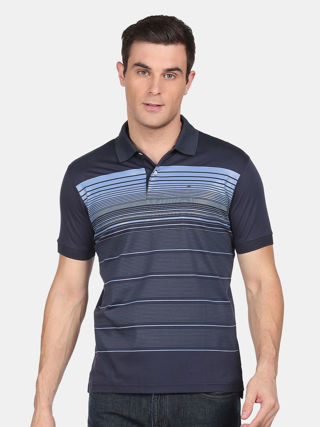 

Arrow Men Blue Striped Polo Collar Pure Cotton T-shirt