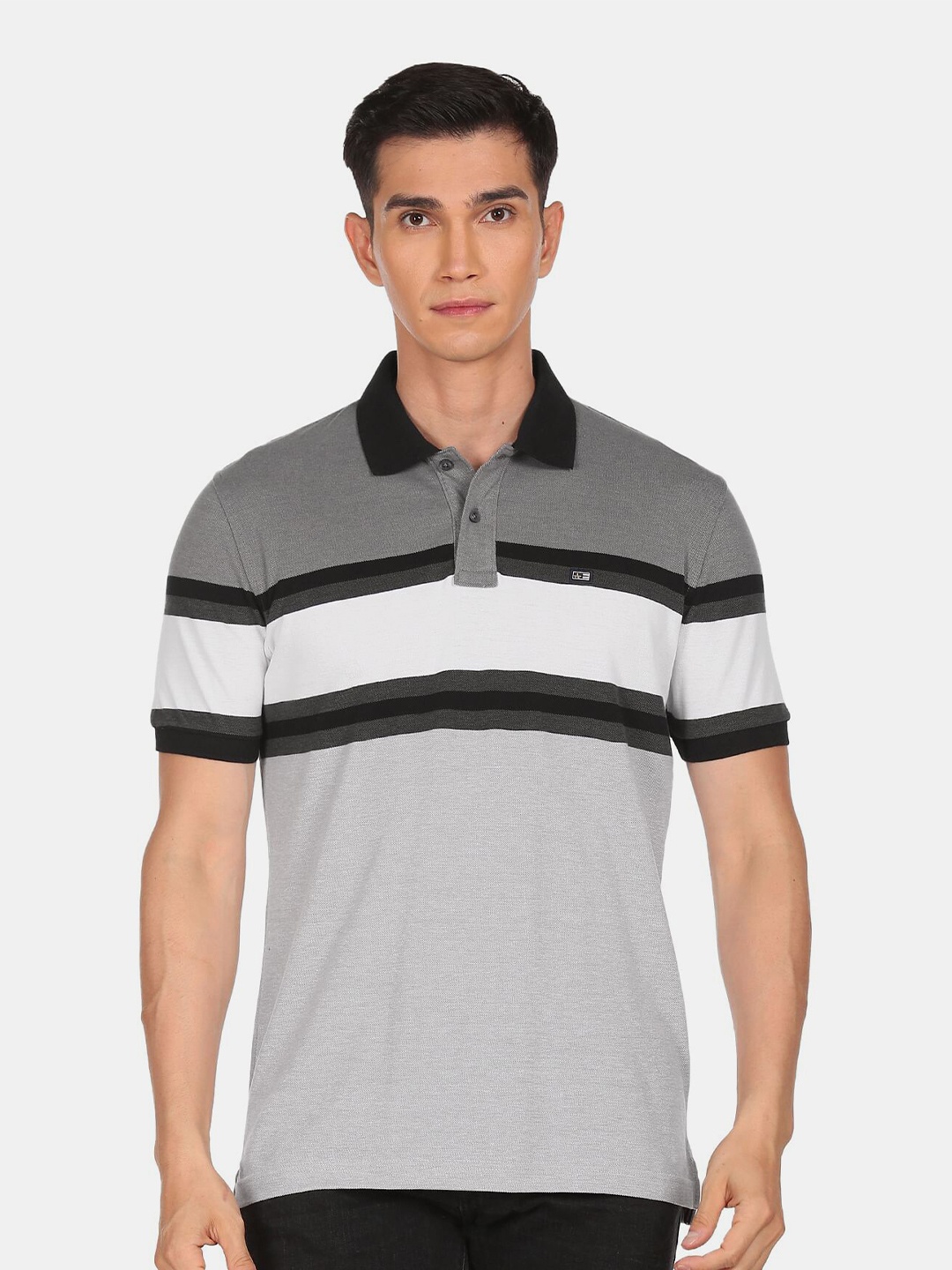 

Arrow Sport Men Grey & White Striped Colourblocked Polo Collar T-shirt