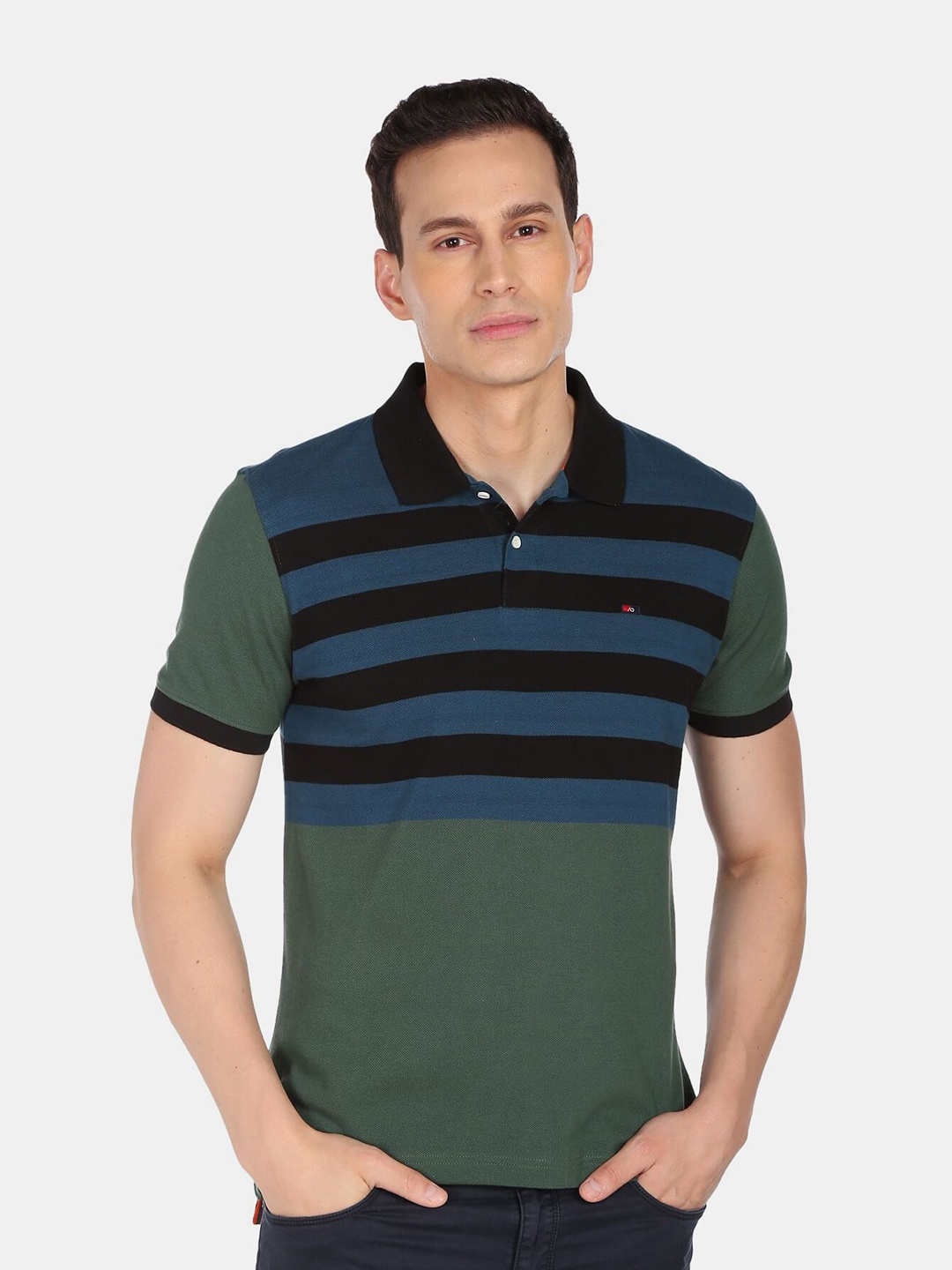 

AD By Arvind Men Green Striped Pure Cotton Polo Collar T-shirt