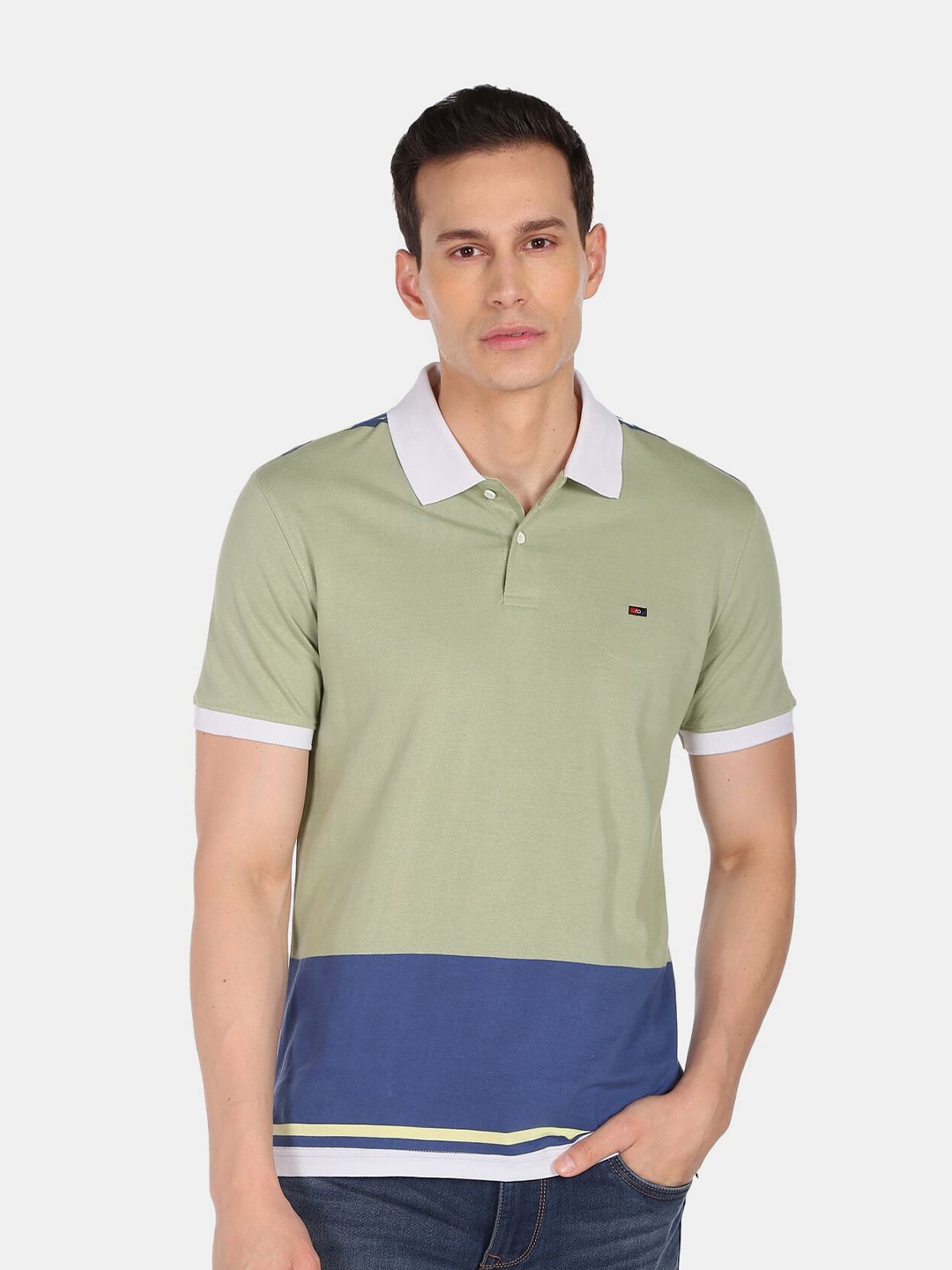 

AD By Arvind Men Green & Blue Colourblocked Polo Collar Pure Cotton T-shirt