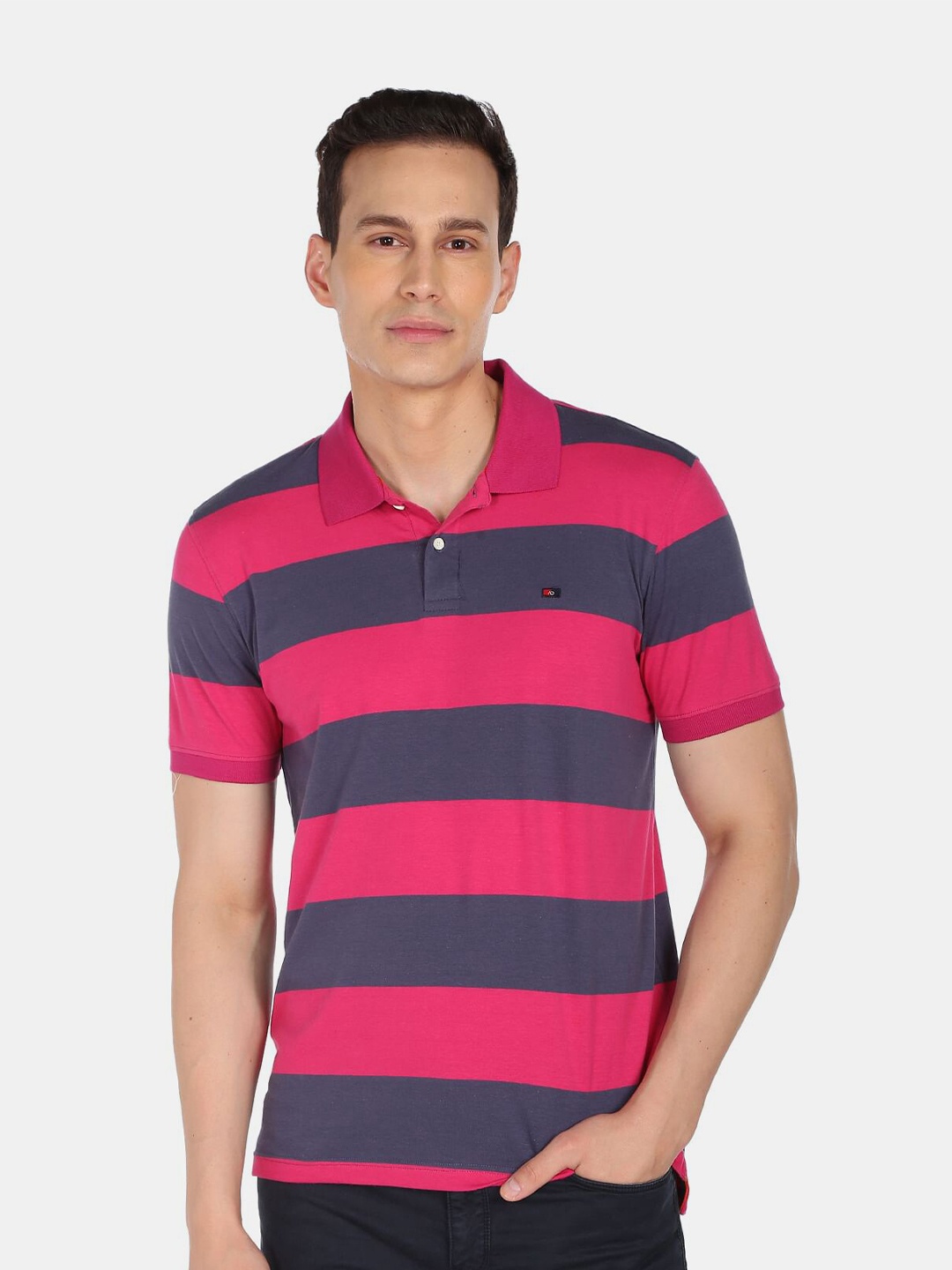 

AD By Arvind Men Pink & Blue Striped Polo Collar Pure Cotton T-shirt