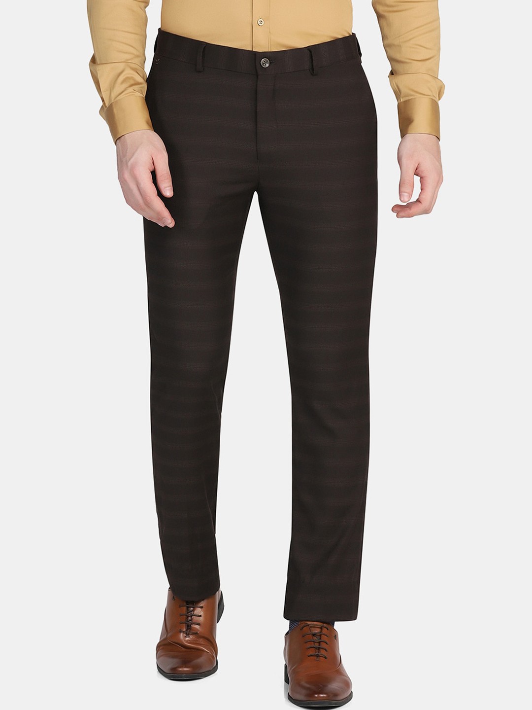 

Blackberrys Men Brown Striped Slim Fit Low-Rise Trousers