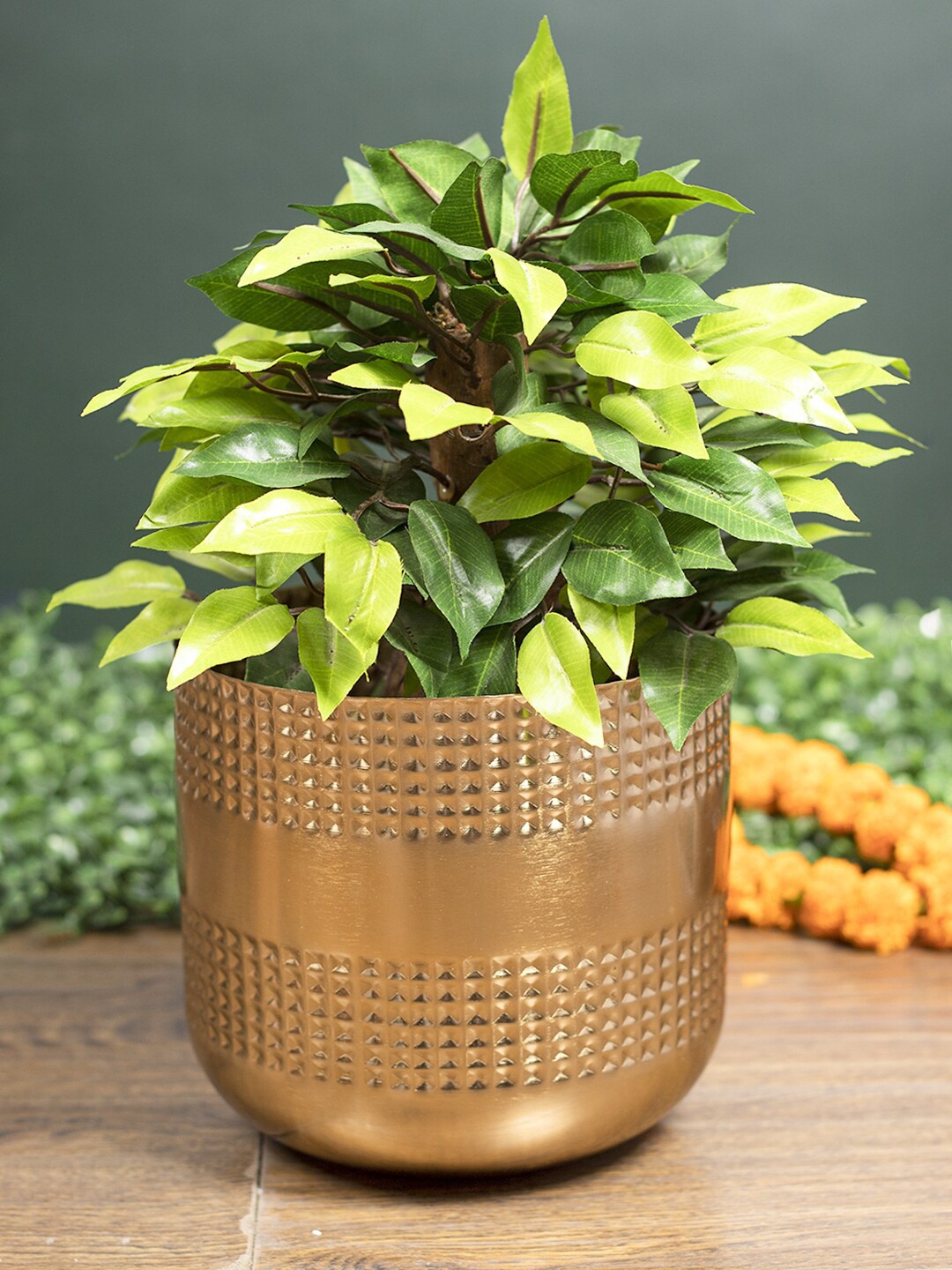 

MARKET99 Round Shaped Planter, Gold