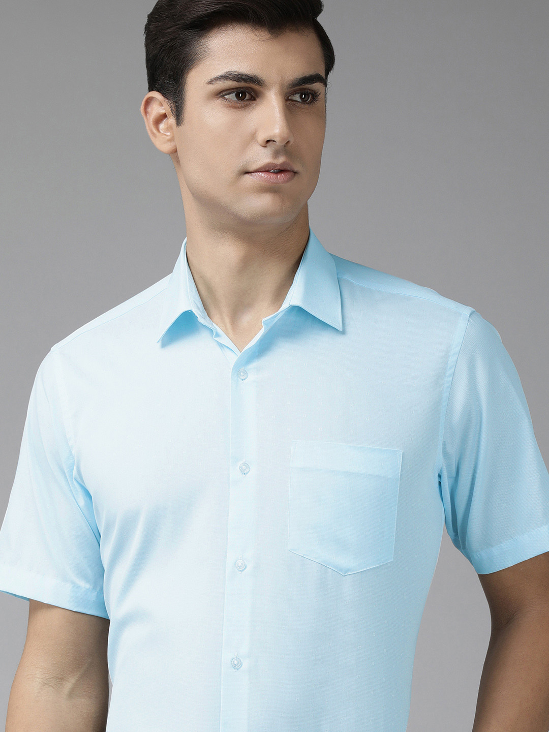 

Van Heusen Men Blue Custom Fit Micro Checks Opaque Pure Cotton Formal Shirt