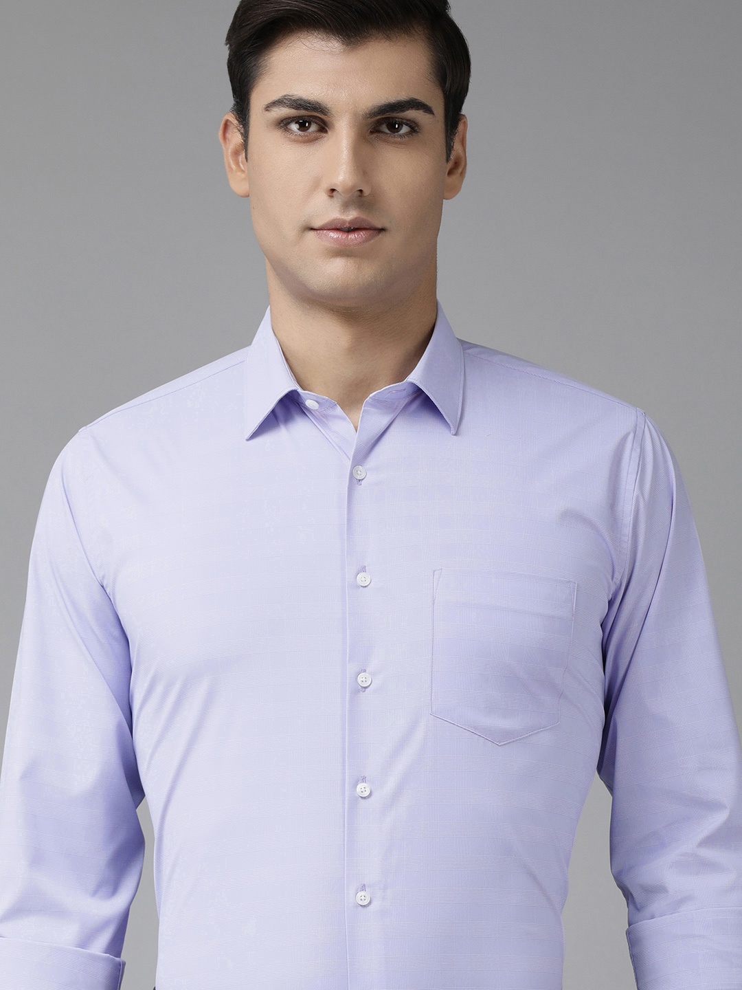 

Van Heusen Men Lavender Slim Fit Micro Checks Opaque Formal Shirt