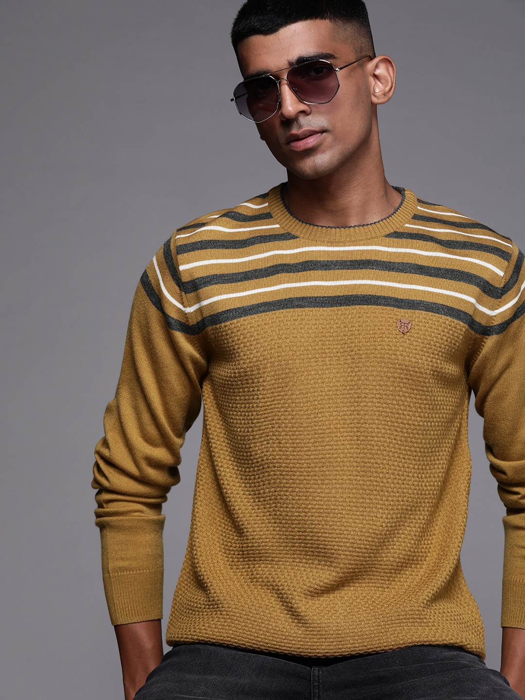 

Raymond Men Striped Pullover, Mustard