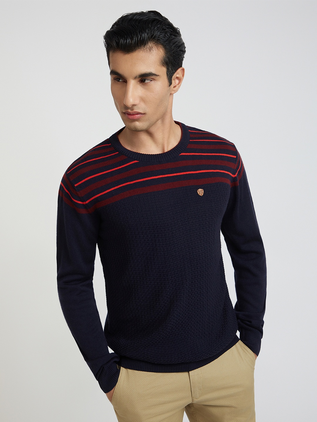 

Raymond Men Navy Blue Pullover