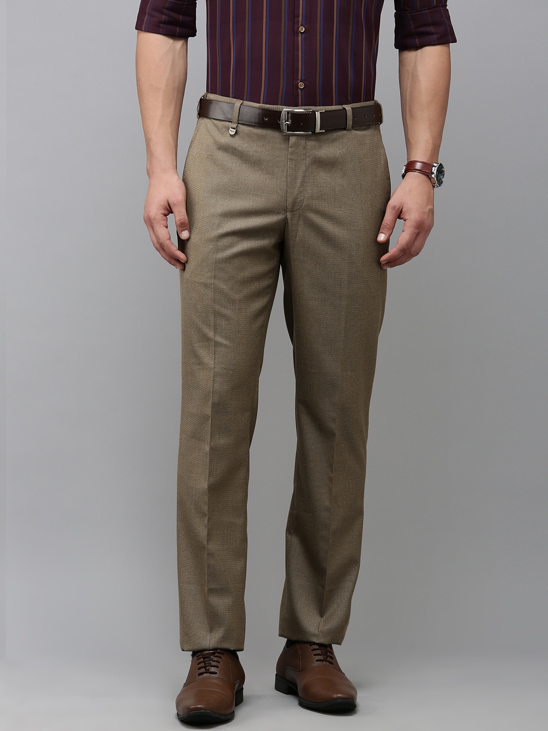 

Park Avenue Men Self Design Textured Formal Trousers, Brown