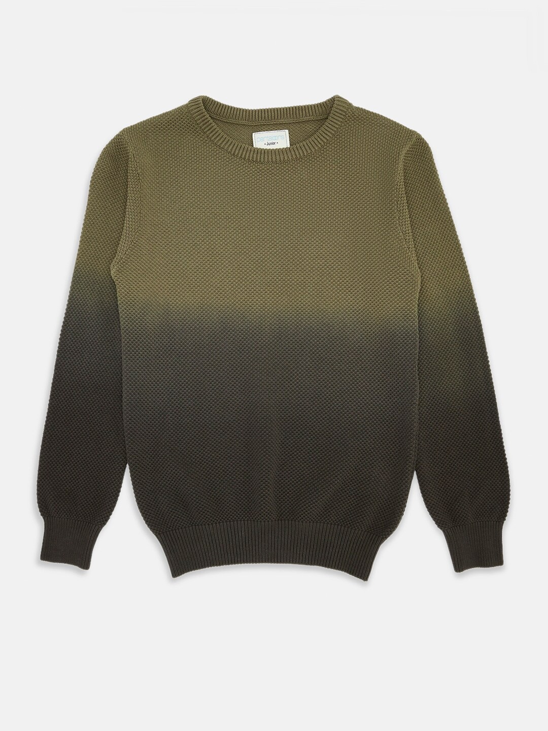 

Pantaloons Junior Boys Olive Green & Green Colourblocked Pullover