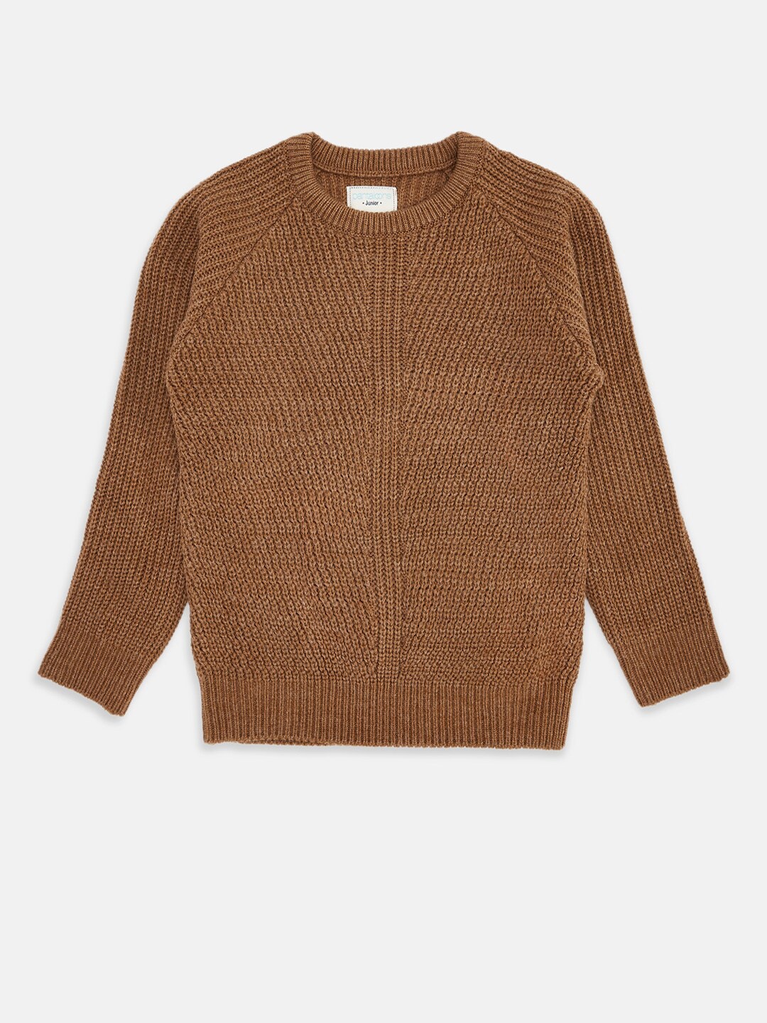 

Pantaloons Junior Boys Brown Solid Pullover