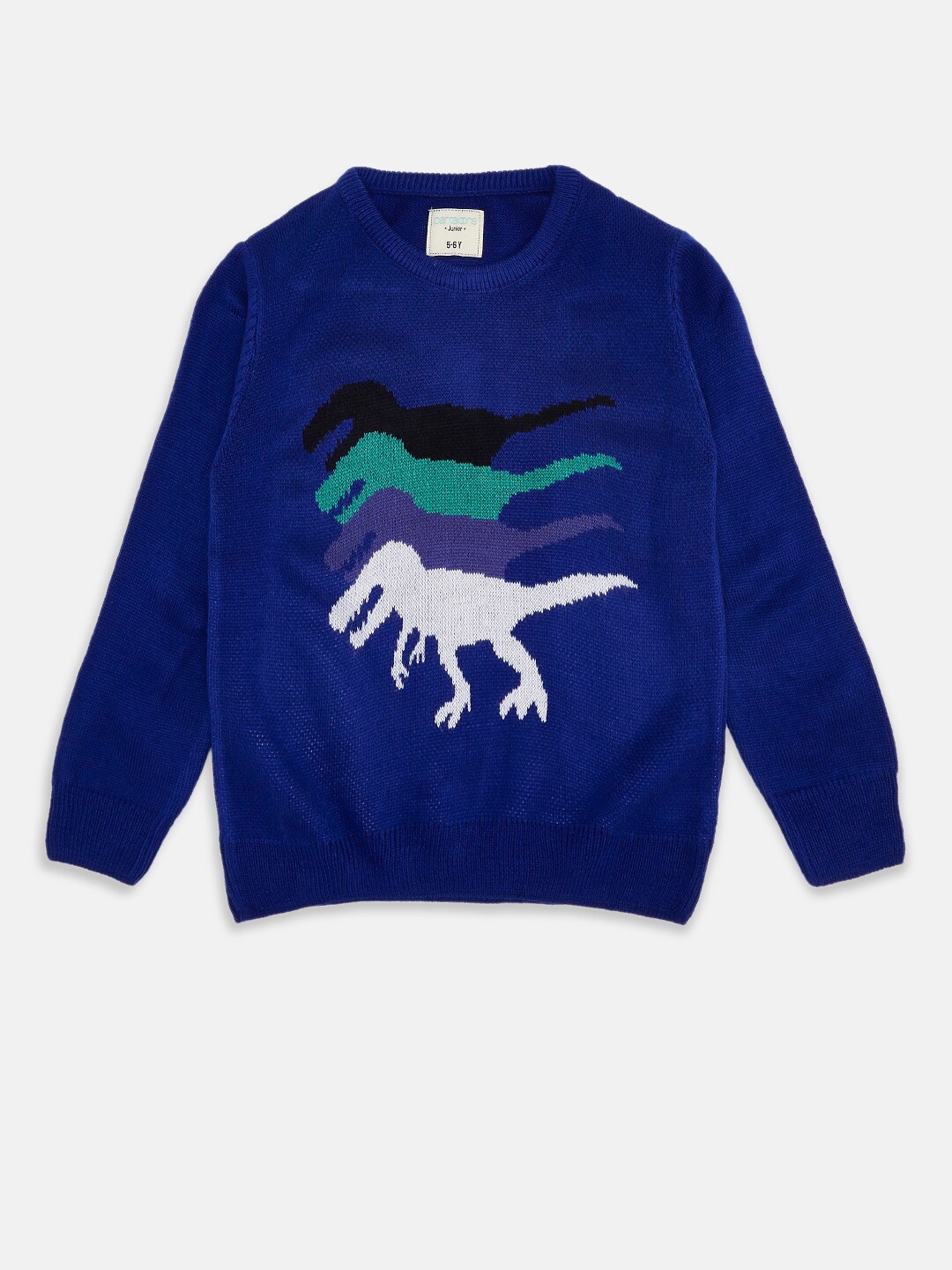 

Pantaloons Junior Boys Blue & White Printed Pullover
