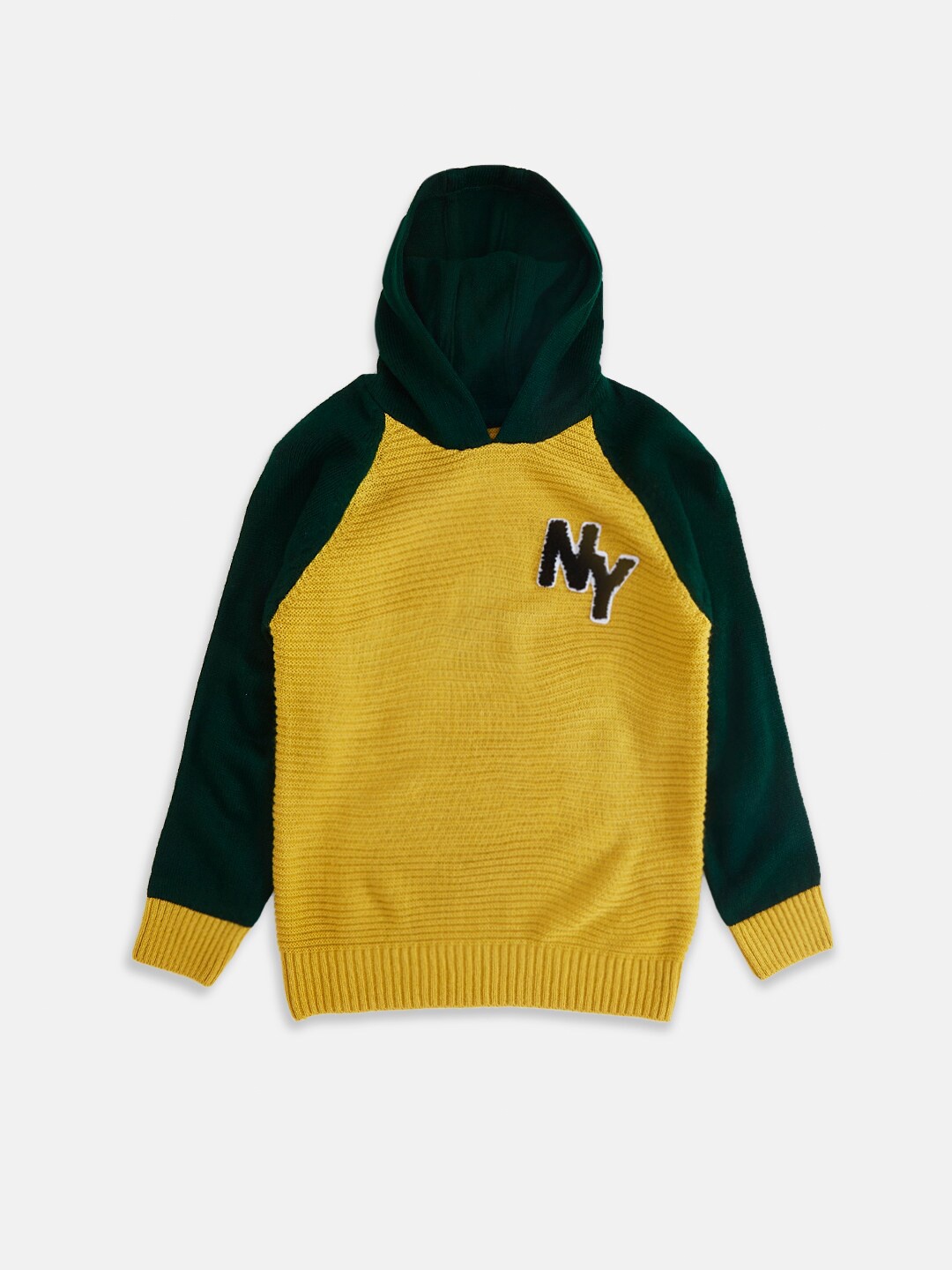 

Pantaloons Junior Boys Yellow & Black Colourblocked Pullover