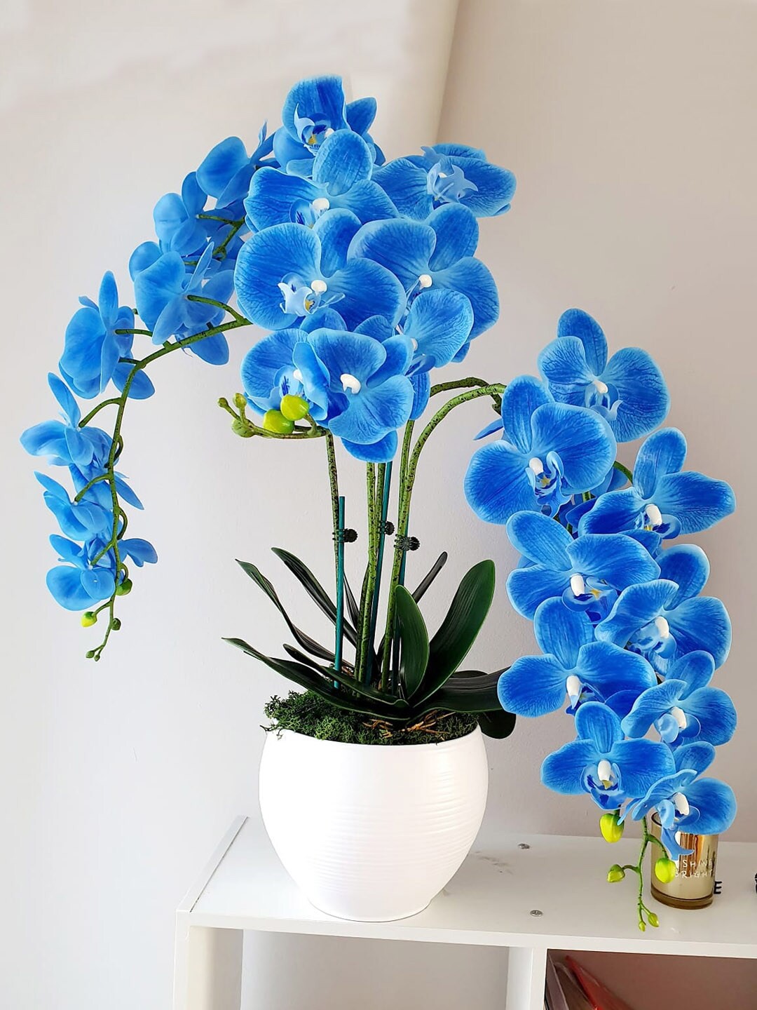 

TIED RIBBONS Set of 3 Artificial Orchid Flower Sticks Without Vase, Blue