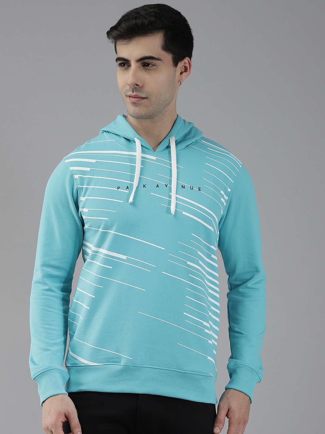 

Park Avenue Men Blue & White Striped Hooded Sweatshirt
