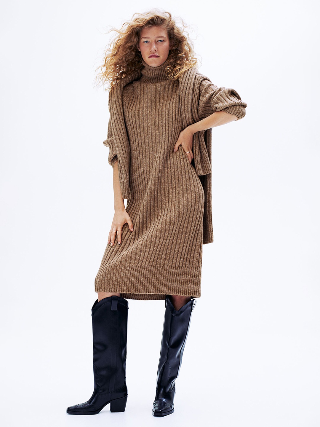 

H&M Women Beige Polo-Neck Dress