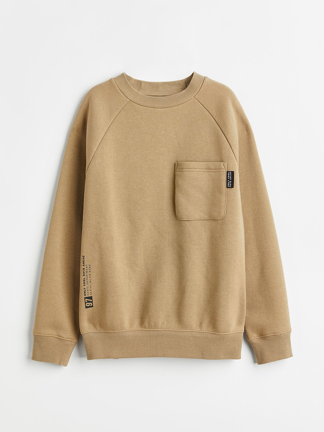 

H&M Boys Beige Oversized Sweatshirt