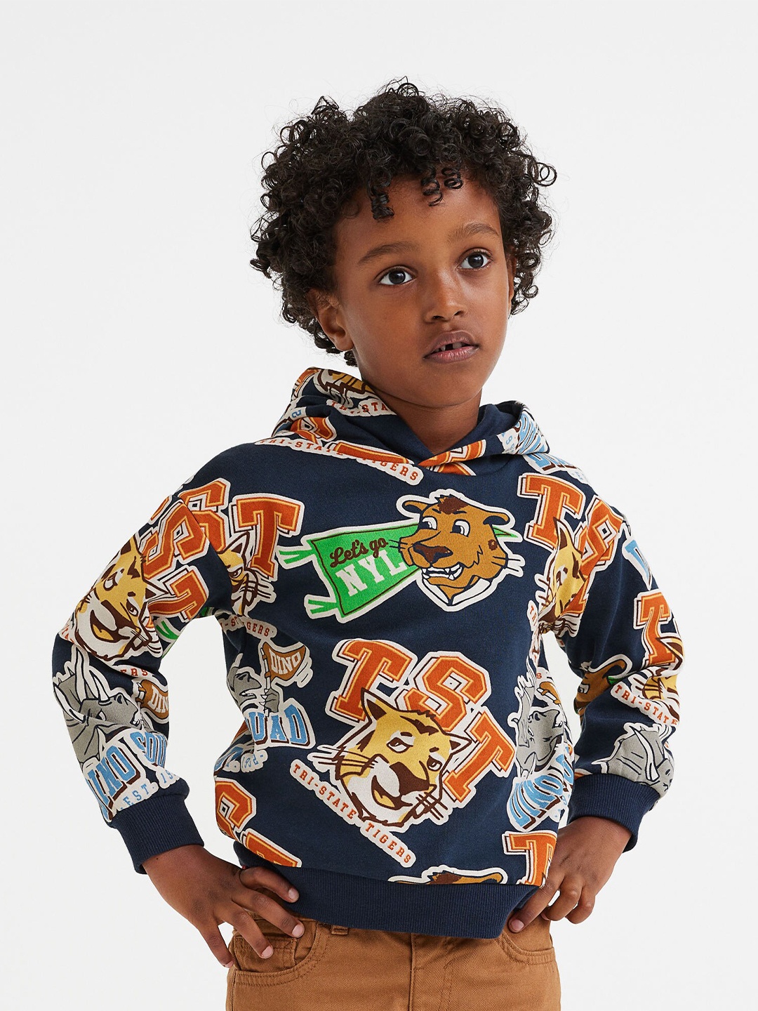 

H&M Boys Blue & Beige Printed Hoodie