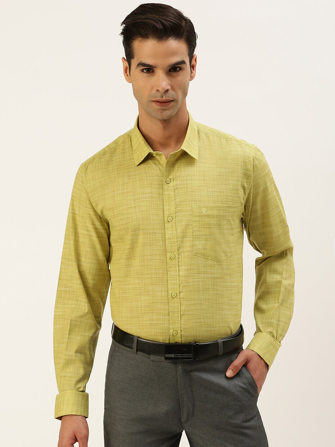 

Ramraj Men Green Solid Formal Shirt