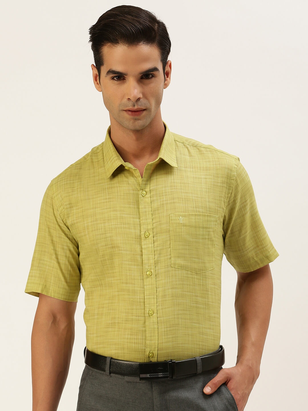 

Ramraj Men Green Solid Formal Shirt