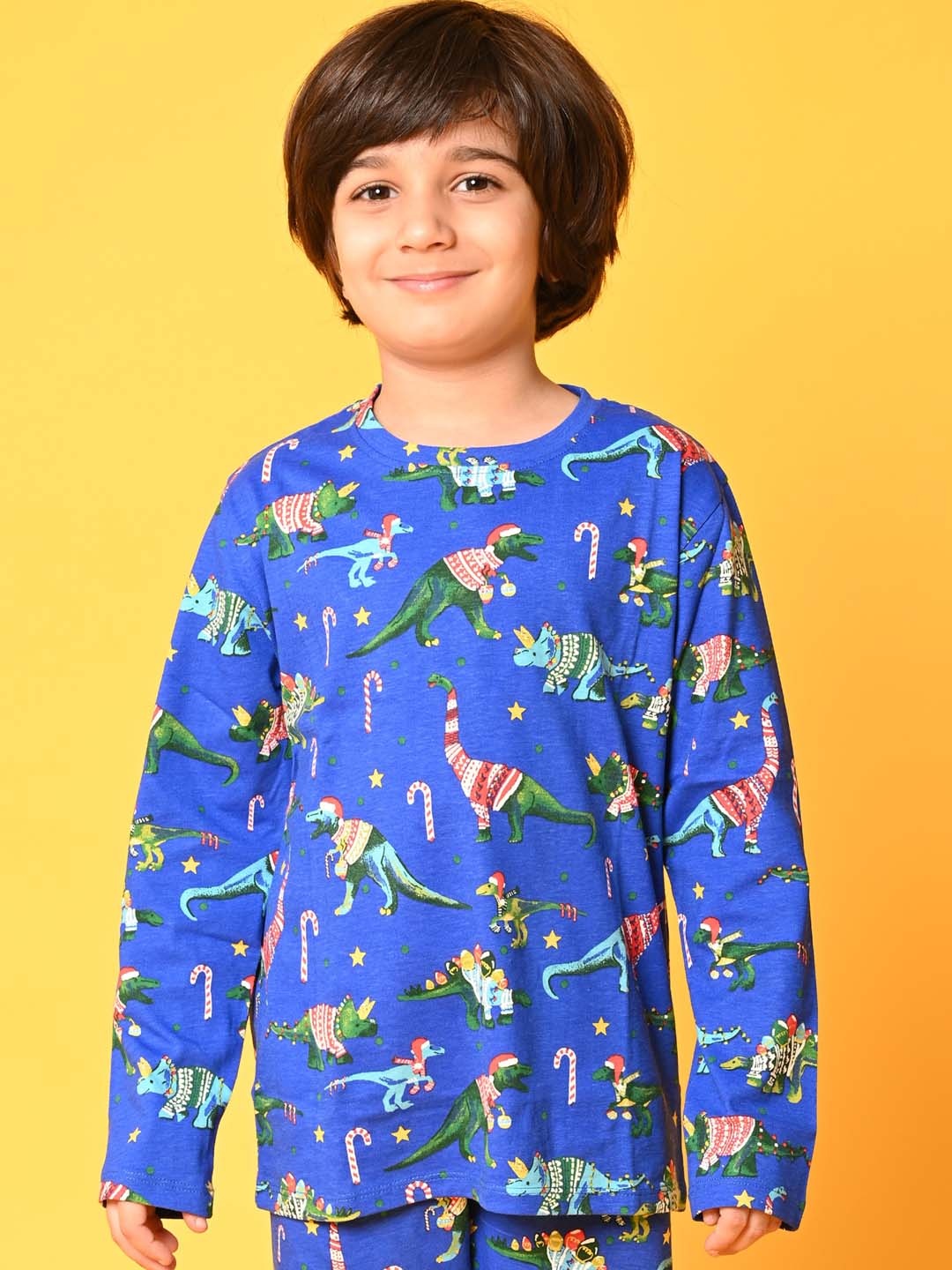 

Anthrilo Boys Blue Printed Night suit