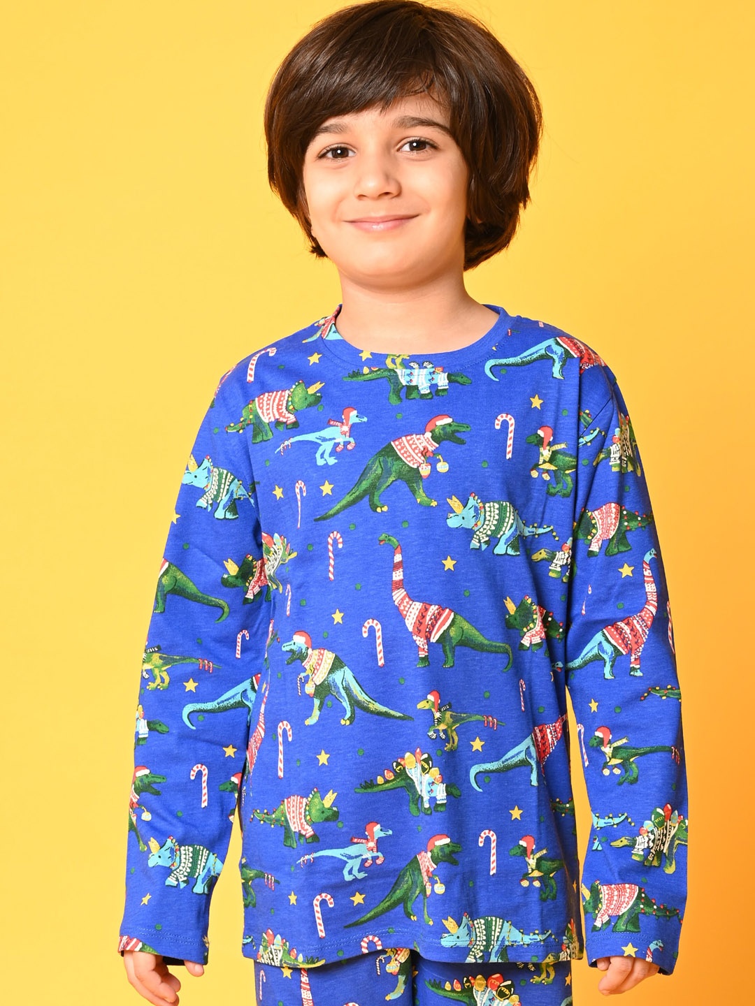 

Anthrilo Boys Blue & Green Printed Cotton Night suit