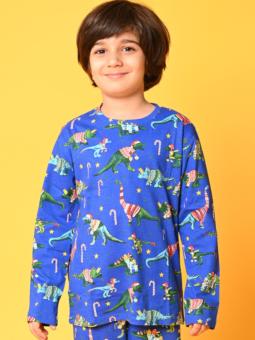 

Anthrilo Boys Blue & Green Printed Pure Cotton Night suit