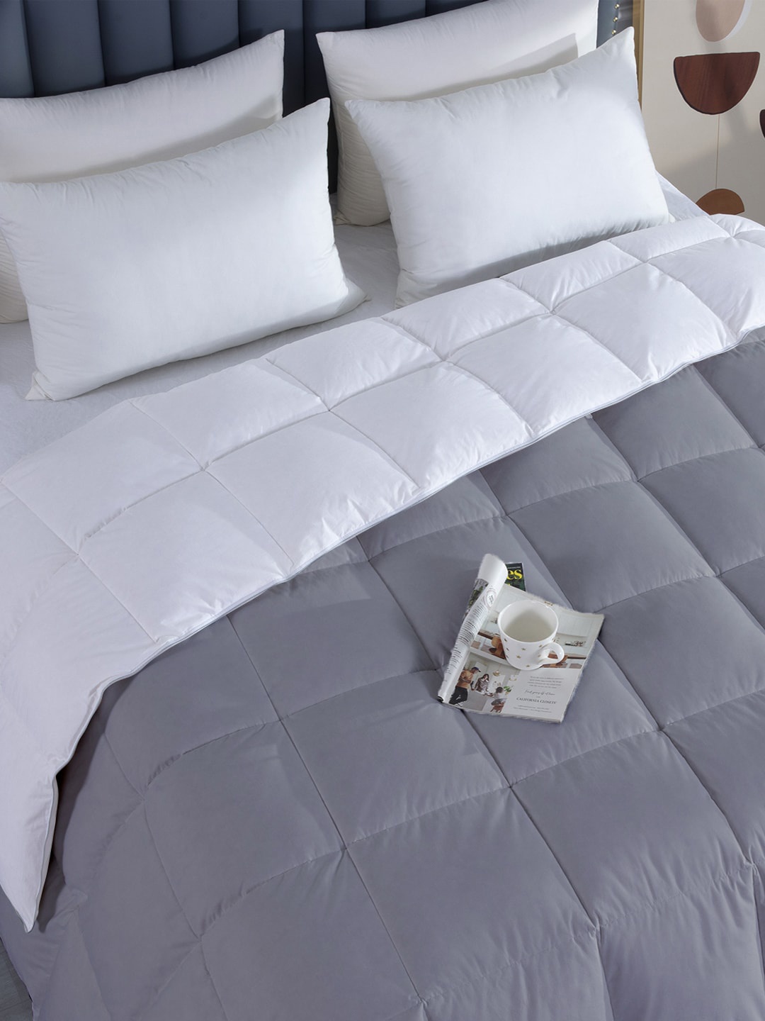 

RAZZAI Microfiber Mild Winter 300 GSM Double Bed Comforter, Silver