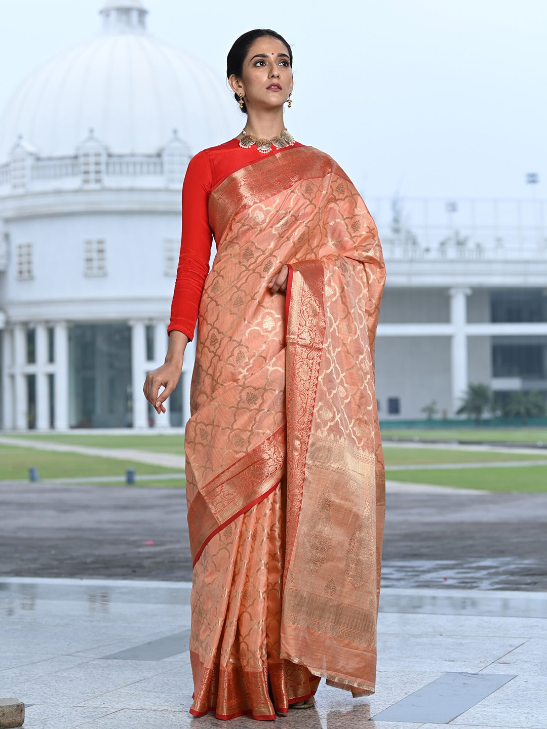 

BEATITUDE Orange & Gold-Toned Ethnic Motifs Zari Banarasi Saree