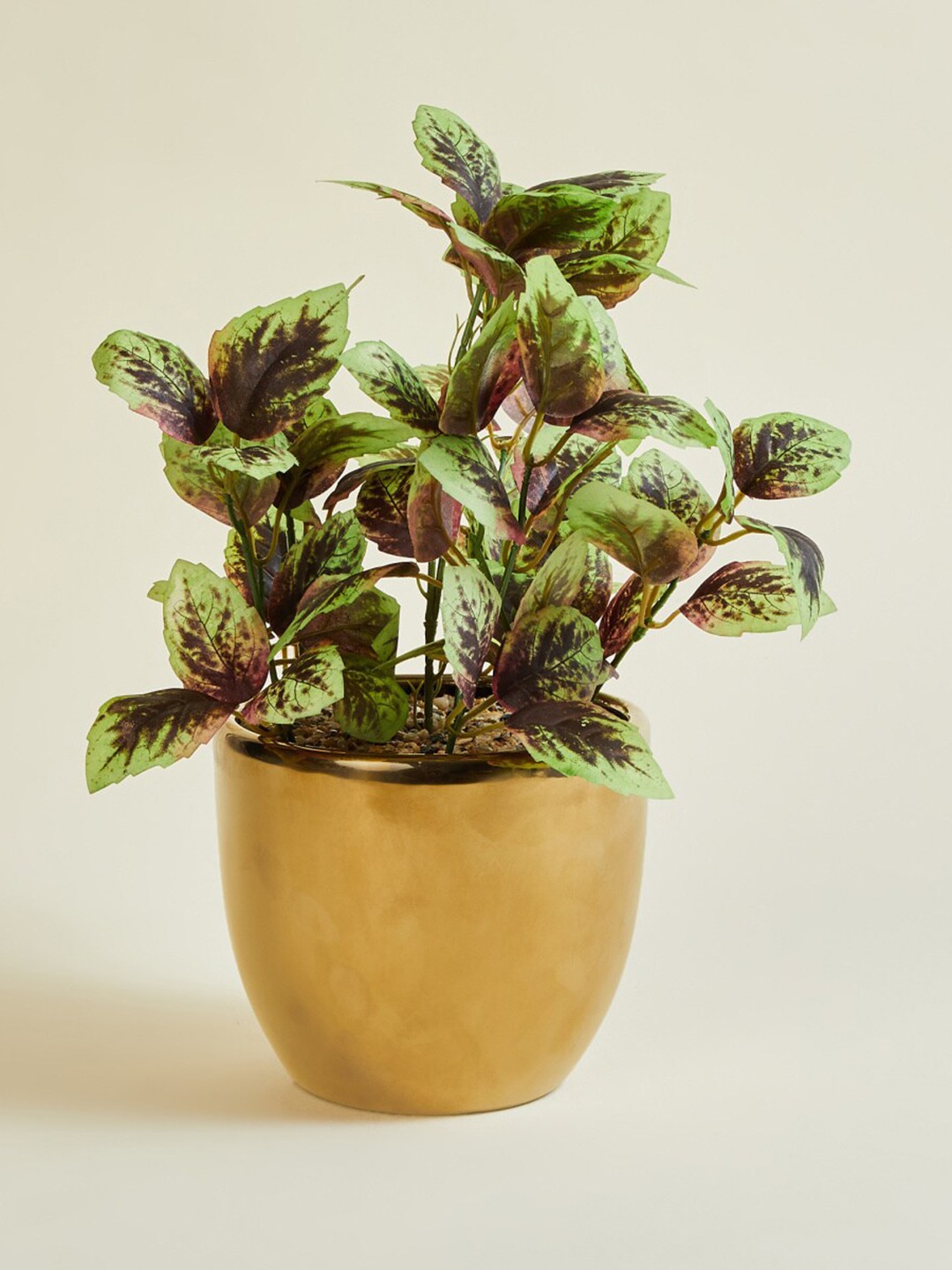 

Home Centre Aglaonema Artificial Flowers and Plants, Green