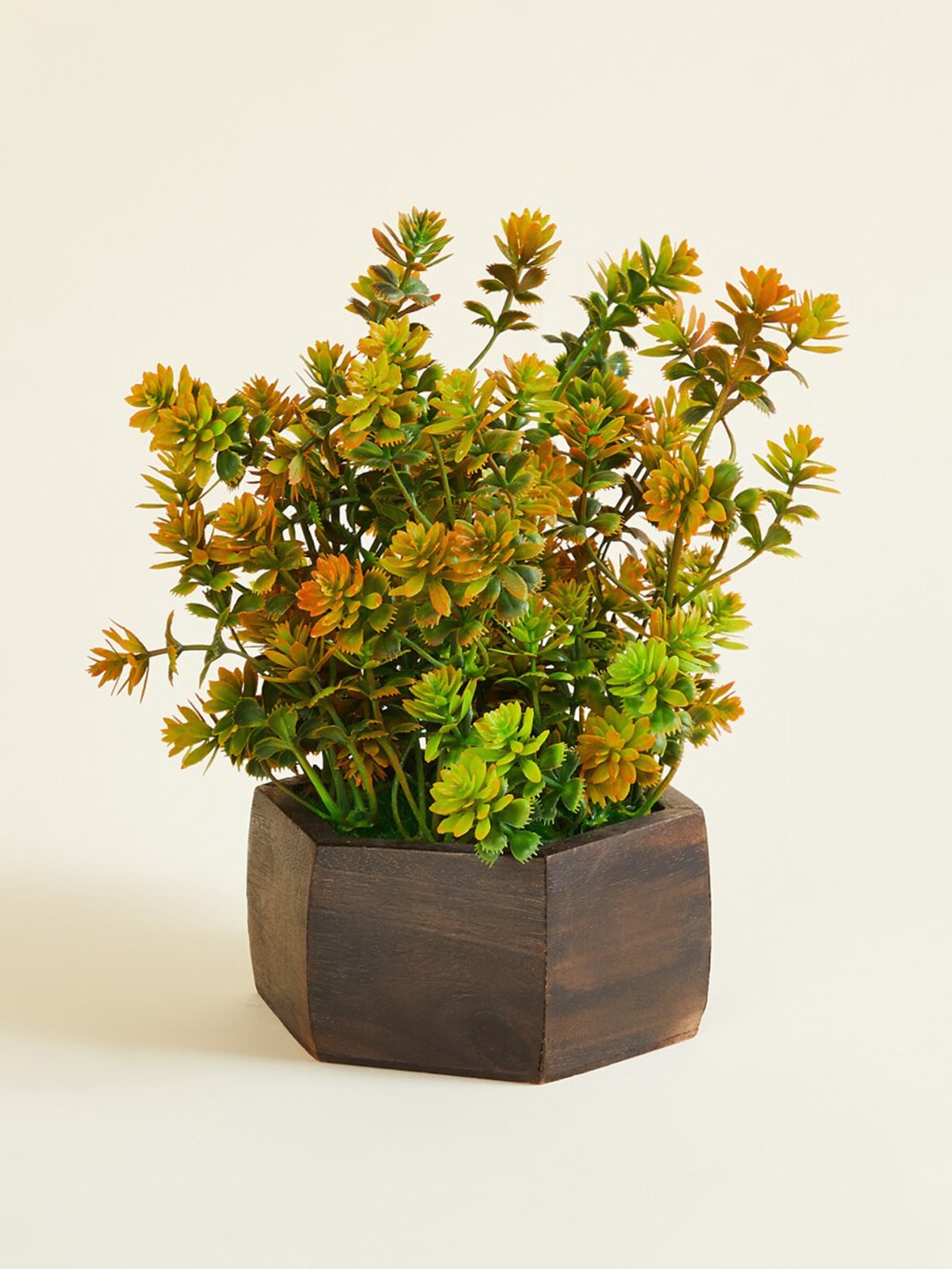 

Home Centre Artificial Plant With Wooden Pot, Green