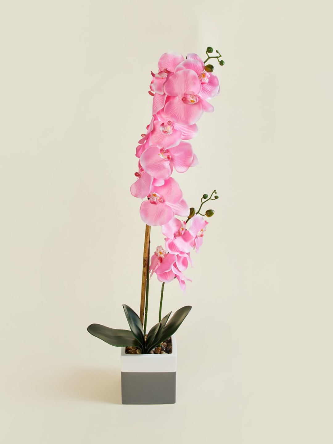 

Home Centre Gardenia Ceramic Artificial Potted Plant, Pink