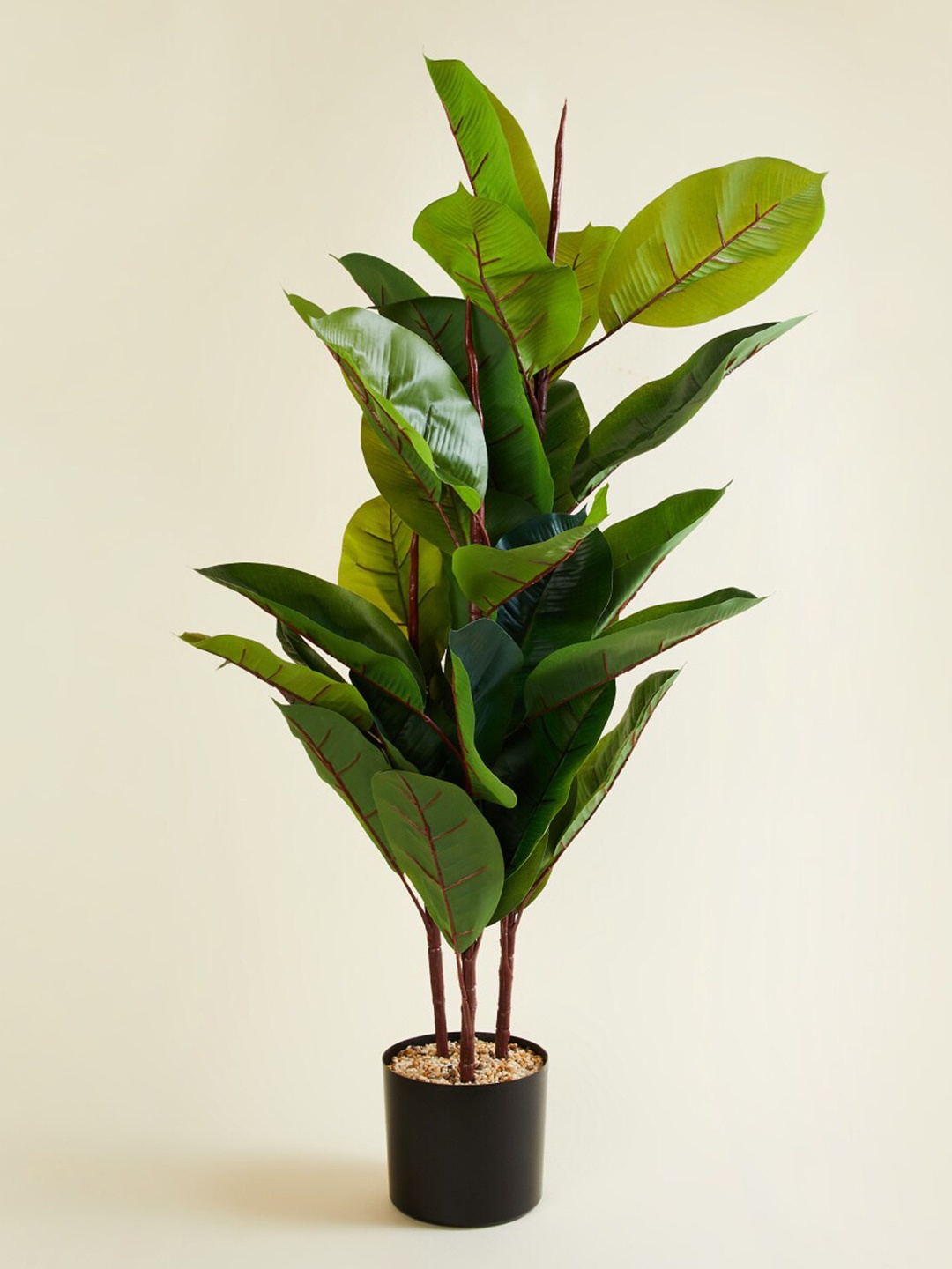 

Home Centre Textured Artificial Rubber Tree With Ceramic Pot, Green