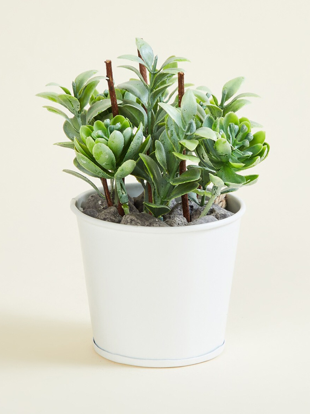 

Home Centre Textured Artificial Succulent Plants With Pot, Green