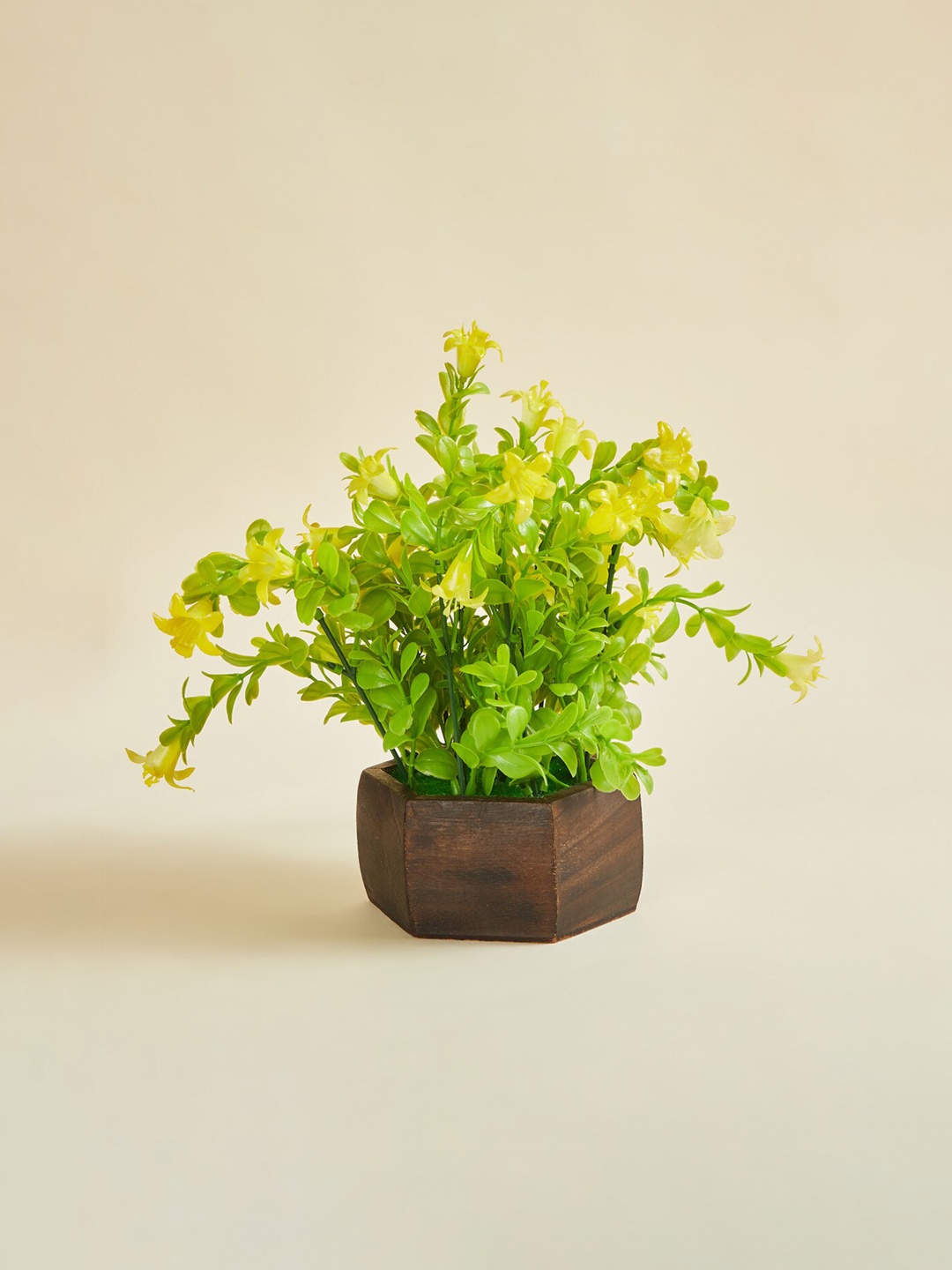 

Home Centre Fiesta Flurry Textured Fabric Sunrise Plant in Hexagon Pot, Green