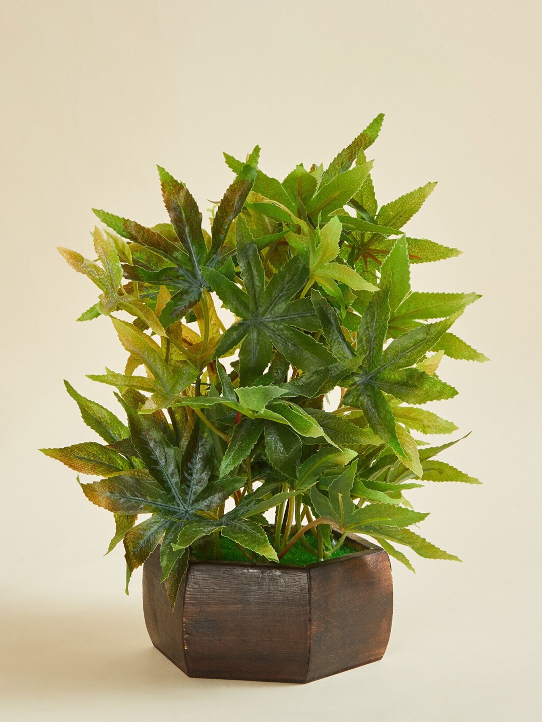 

Home Centre Artificial Textured Maple Plant in Hexagon Pot, Green