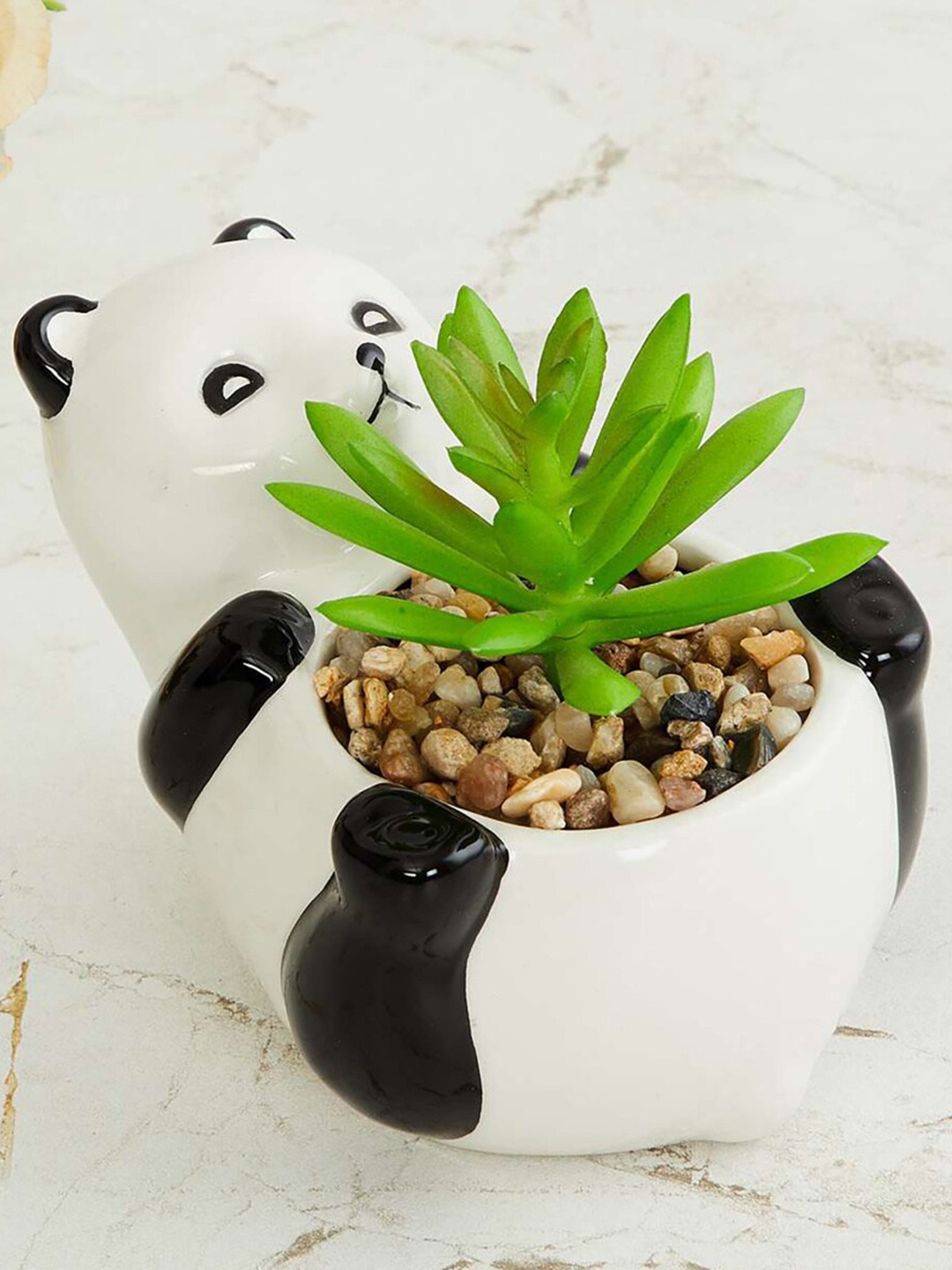 

Home Centre Garnet Elsa Panda with Succulent Plant, Black