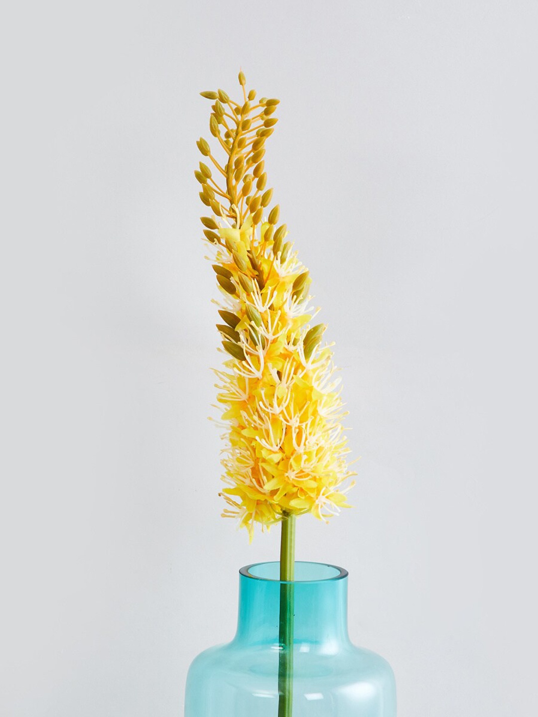 

Home Centre Botanical Artificial Eremurus Plastic flower, Yellow