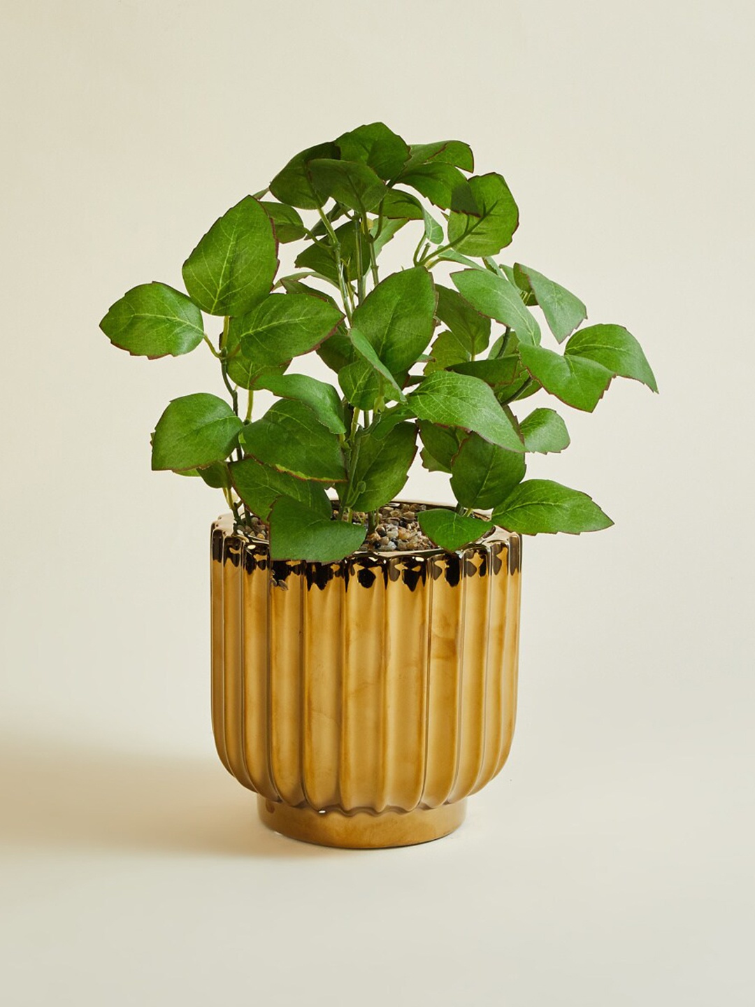 

Home Centre Green Textured Artificial Plants With Pot
