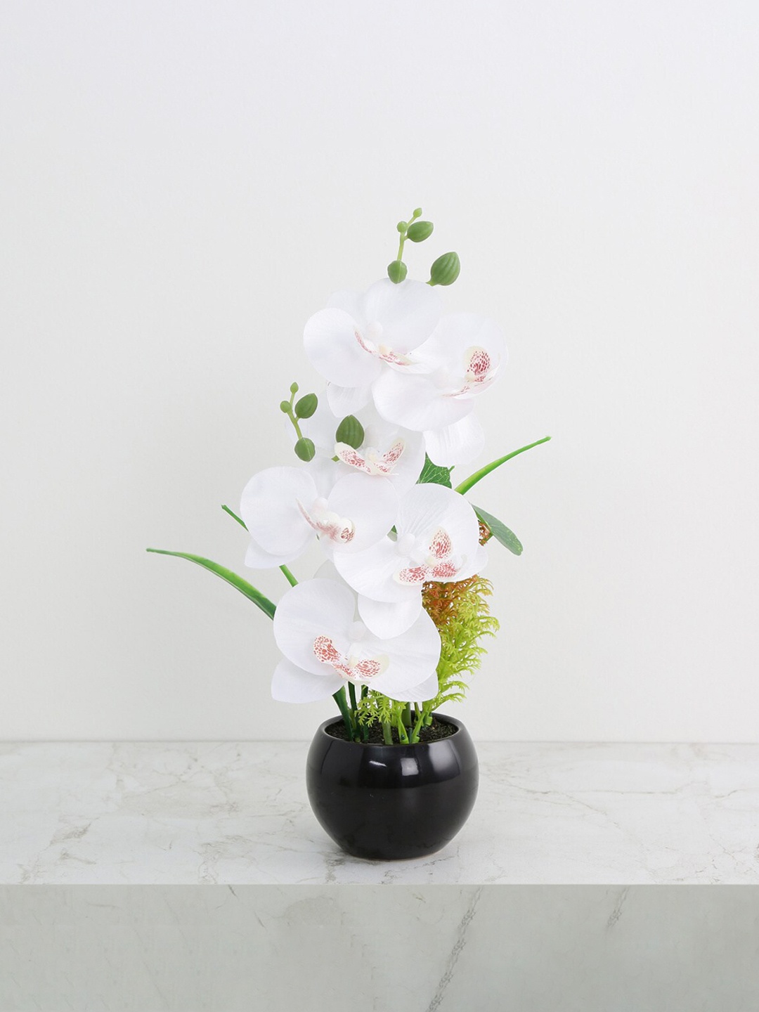 

Home Centre White Orchid Artificial Flowers In Pot