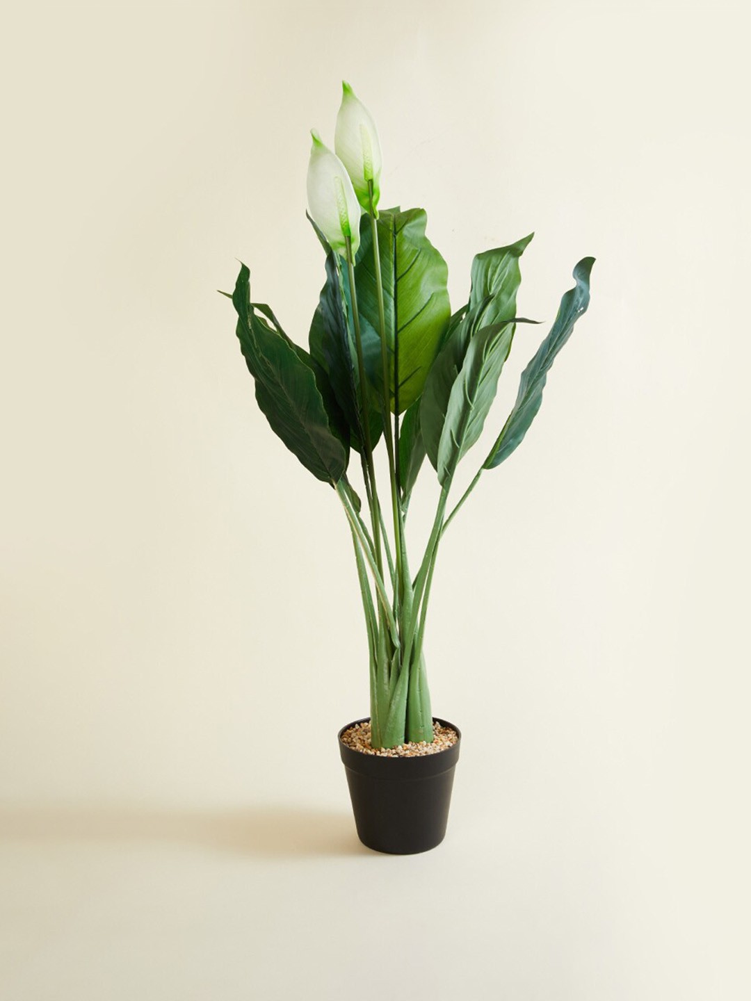 

Home Centre White & Green Textured Lily Artificial Plants With Pot