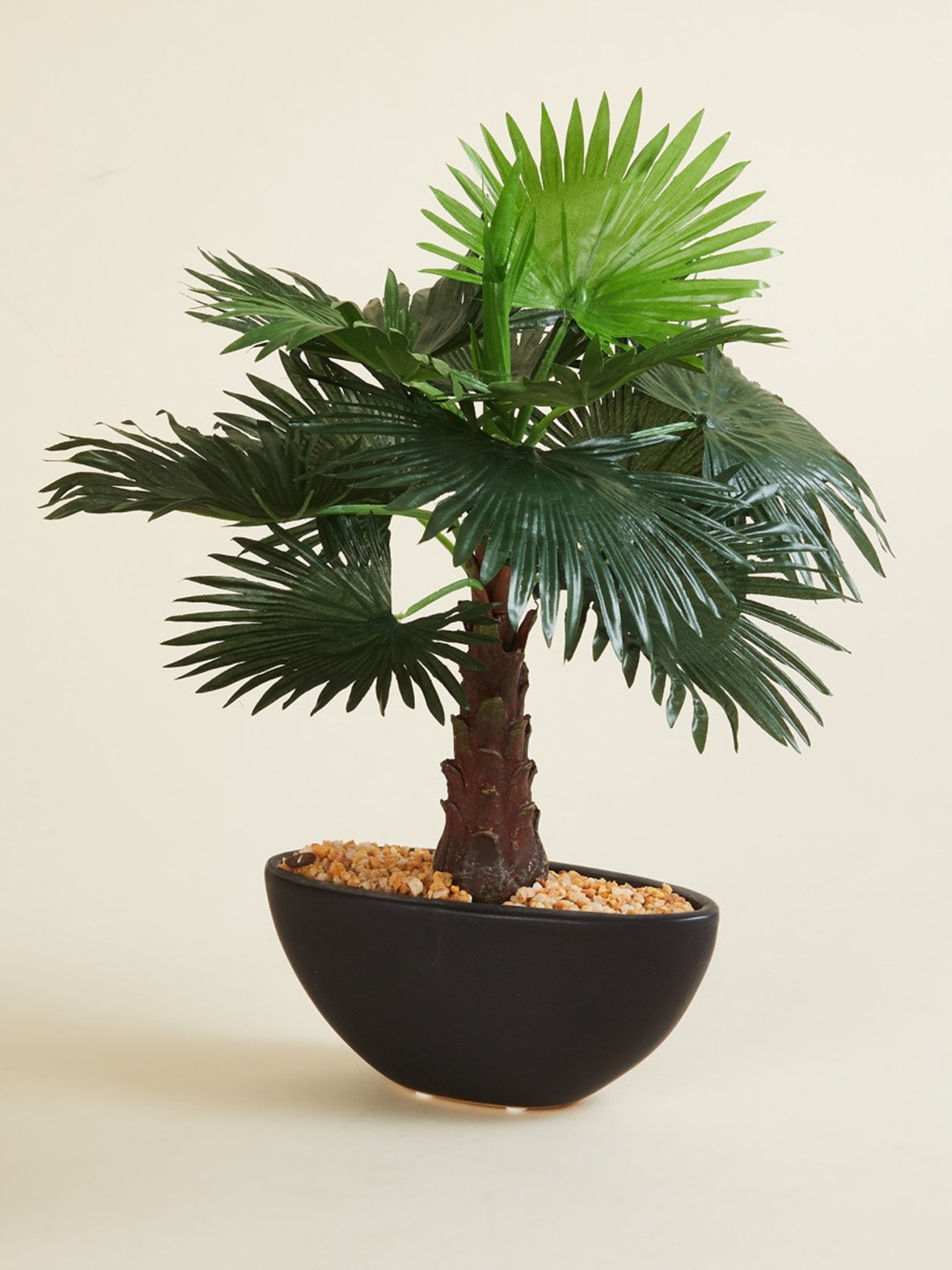 

Home Centre Black & Green Textured Ceramic Artificial Plants With Pot