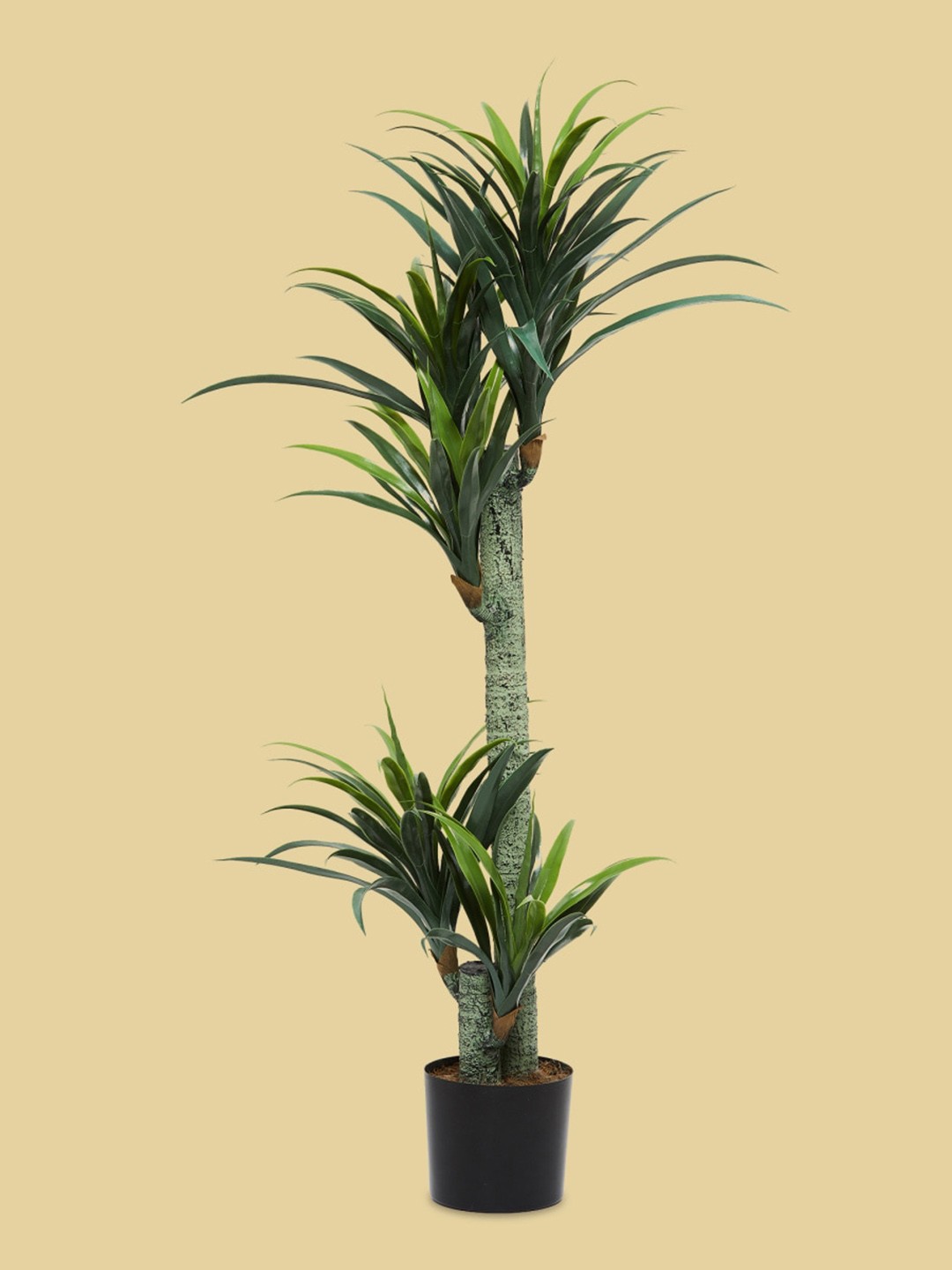 

Home Centre Textured Yucca Artificial Plants With Pot, Green