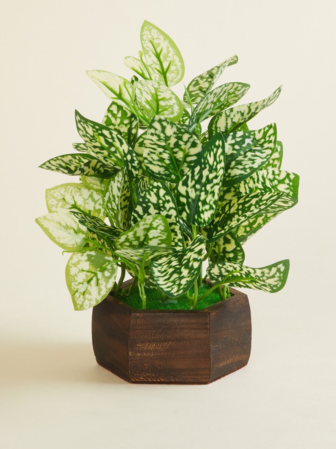 

Home Centre Brown & Green Terrarium Artificial Plants With Pot