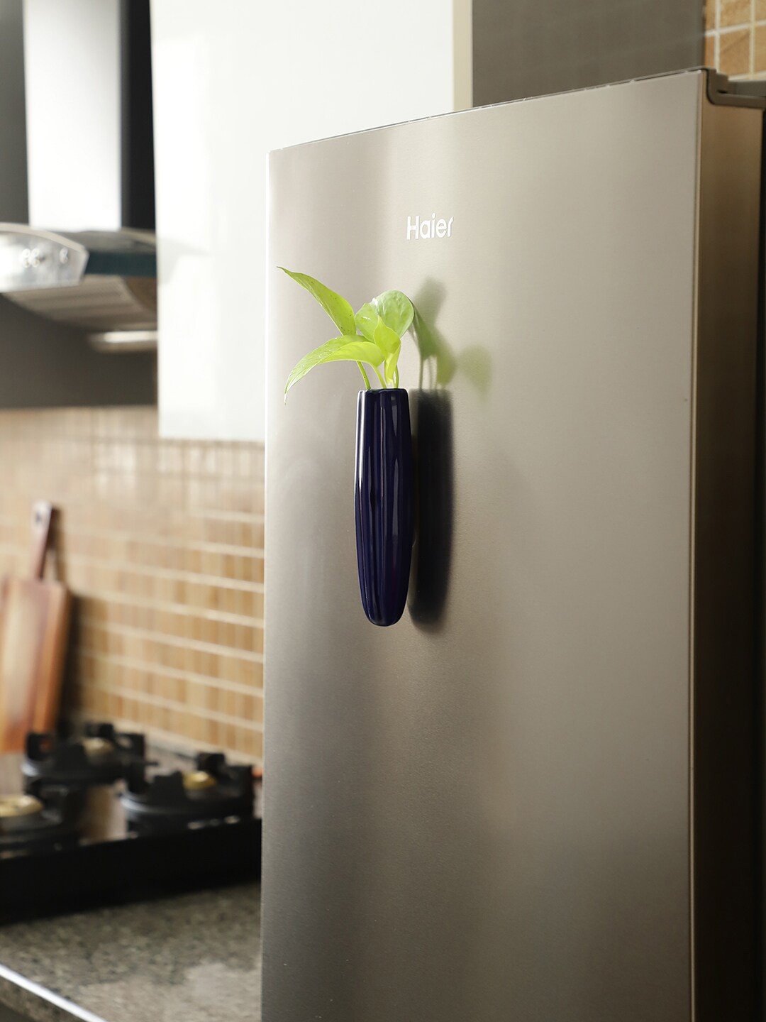

VarEesha Blue Textured Magnetic Planter