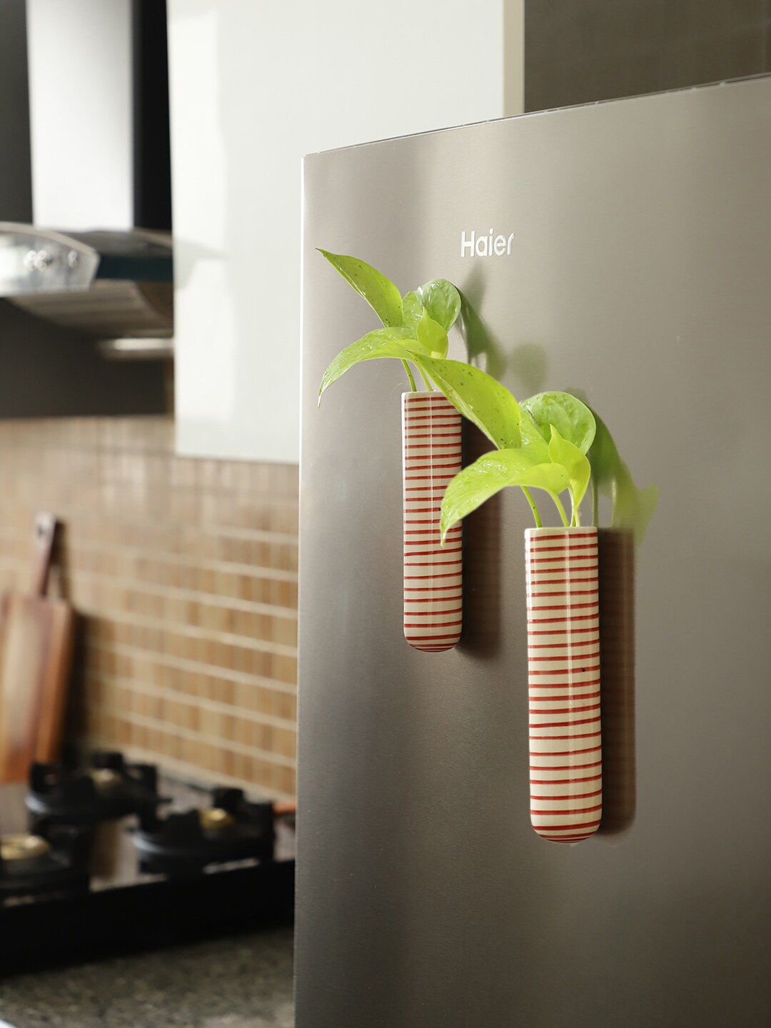 

VarEesha Set of 2 Red & White Printed Ceramic Magnetic Fridge Planters
