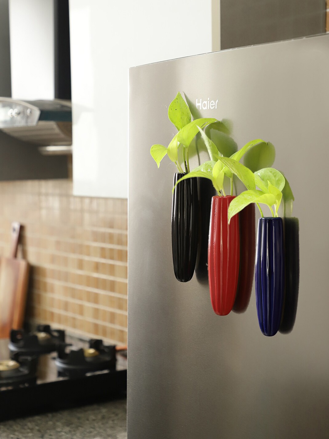 

VarEesha Set Of 3 Oval Ceramic Magnetic Planters, Black