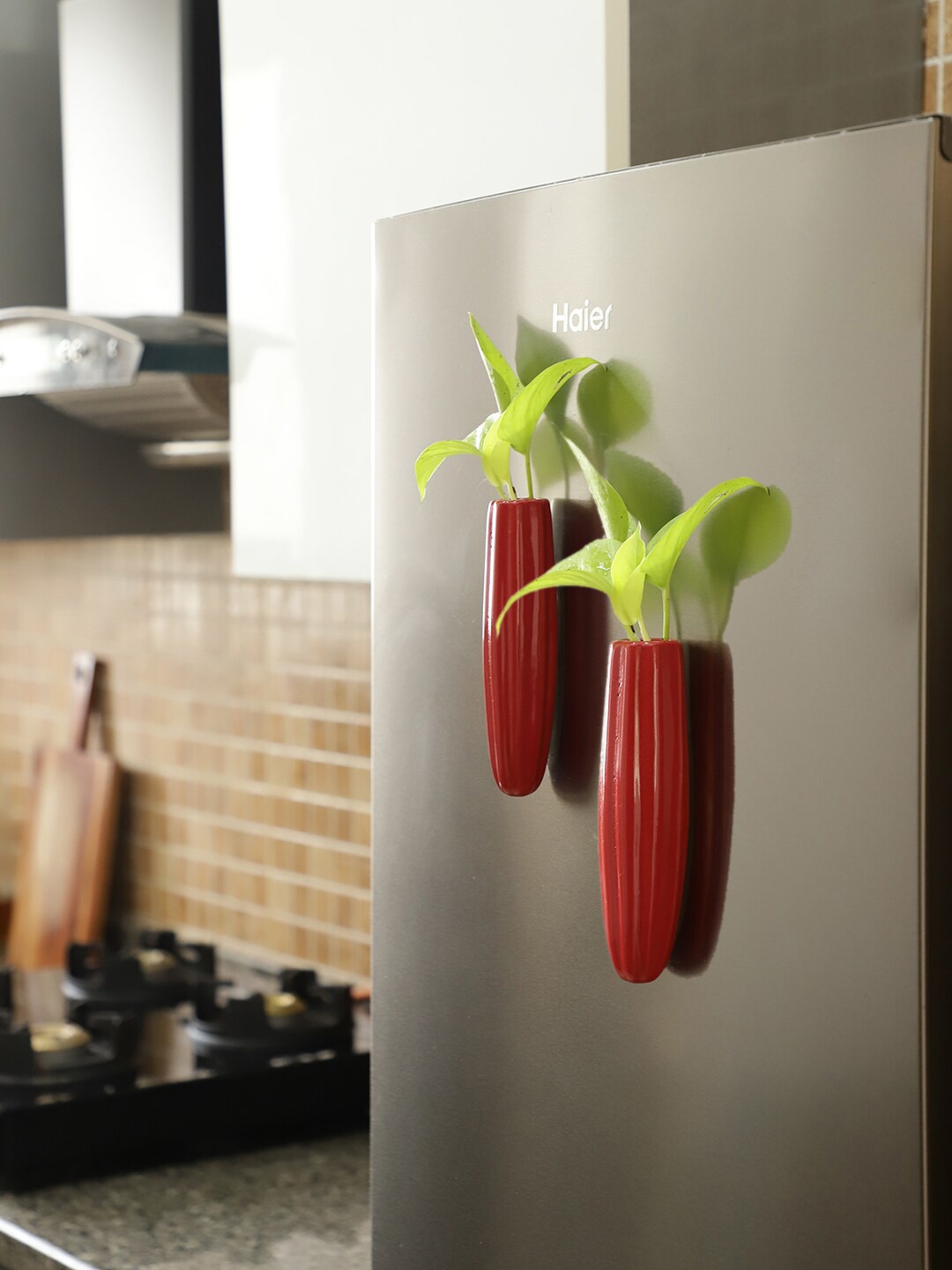 

VarEesha Set Of 2 Oval Ceramic Magnetic Planters, Red