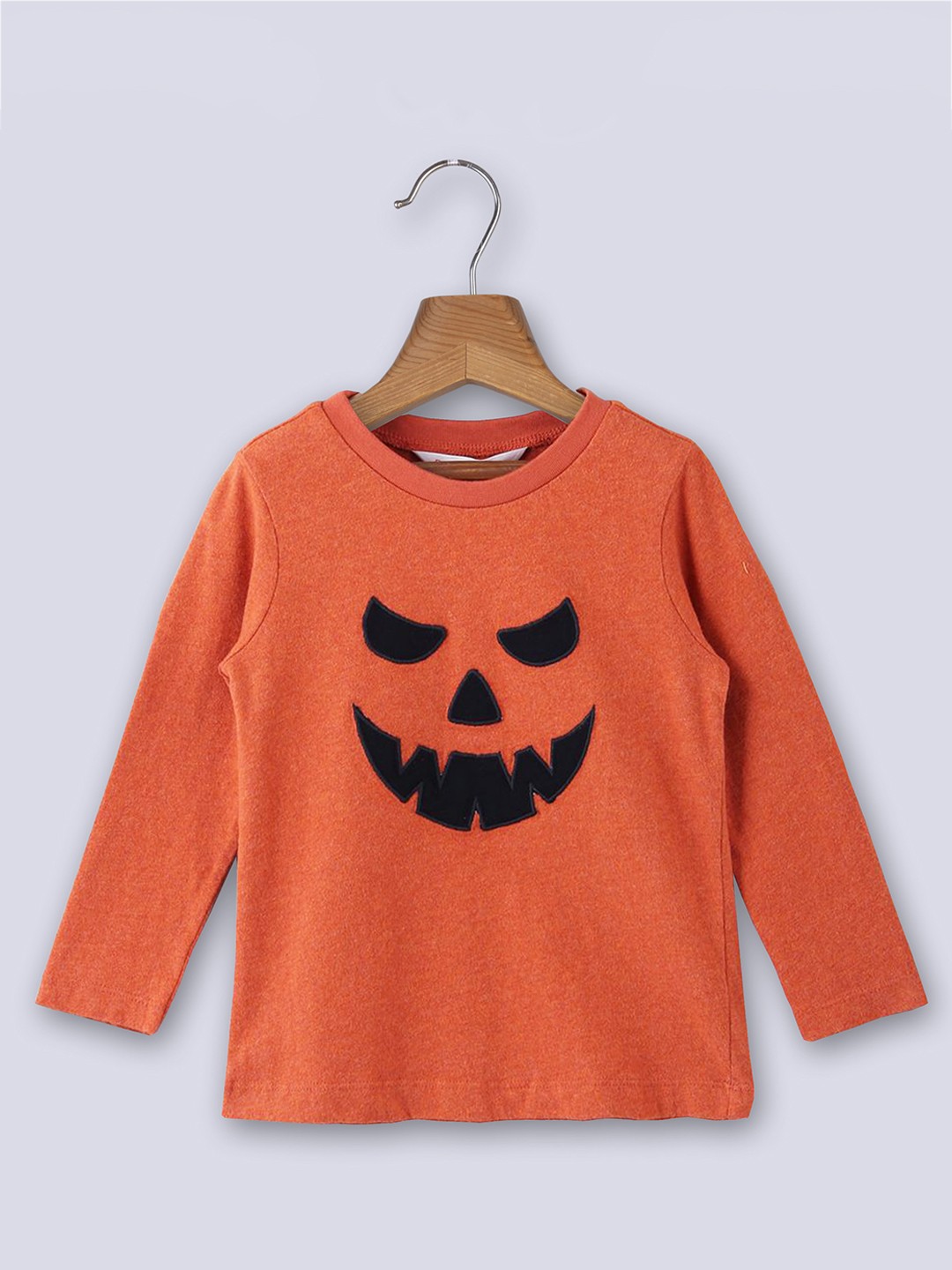 

Beebay Boys Rust Printed Graphic Pure Cotton Long Sleeves T-shirt