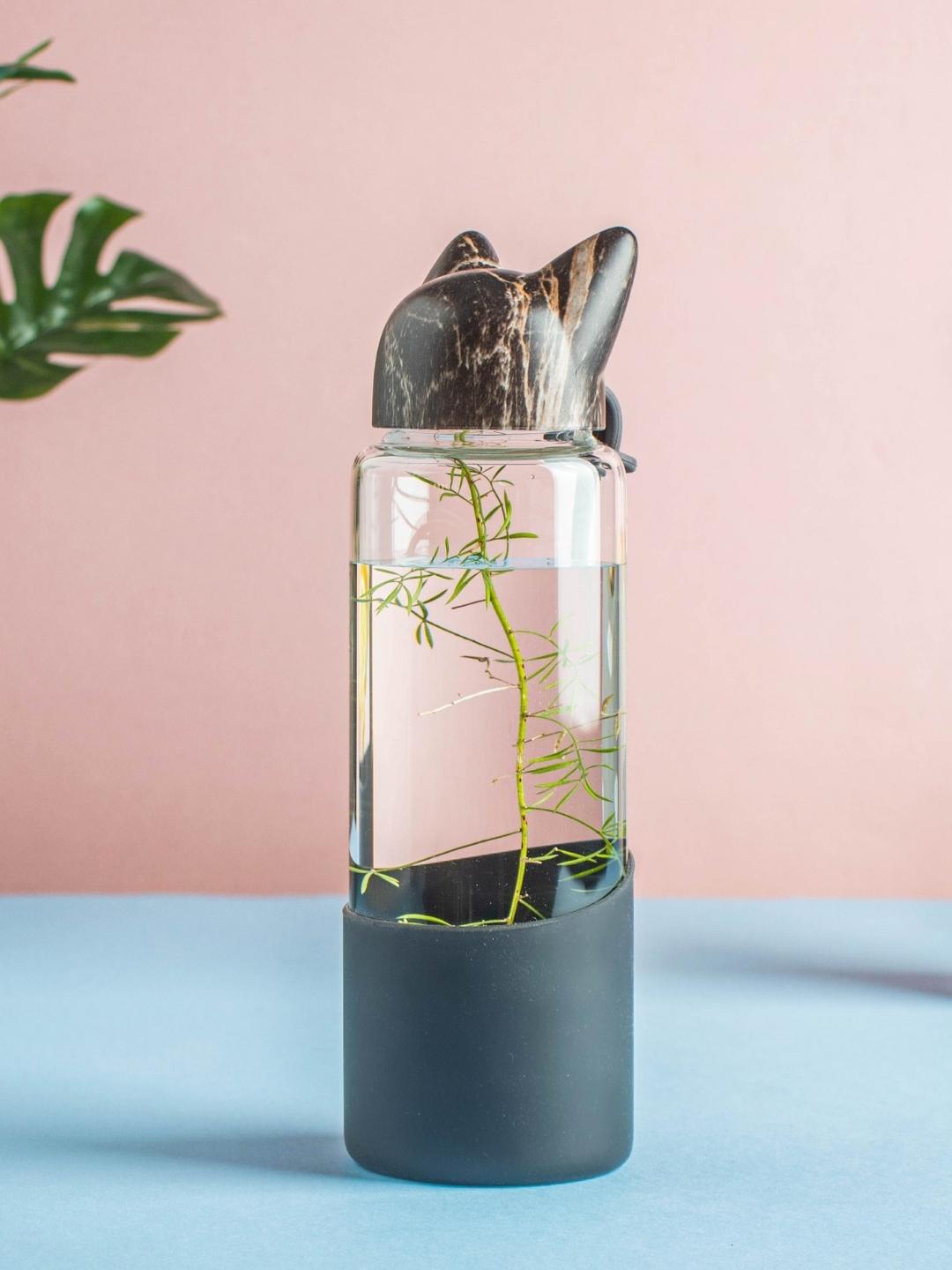 

Nestasia Transparent Fox Brown Fox Solid Water Bottle 350 ml